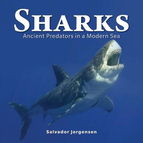 Sharks: Ancient Predators in a Modern Sea – Hardcover – GOOD