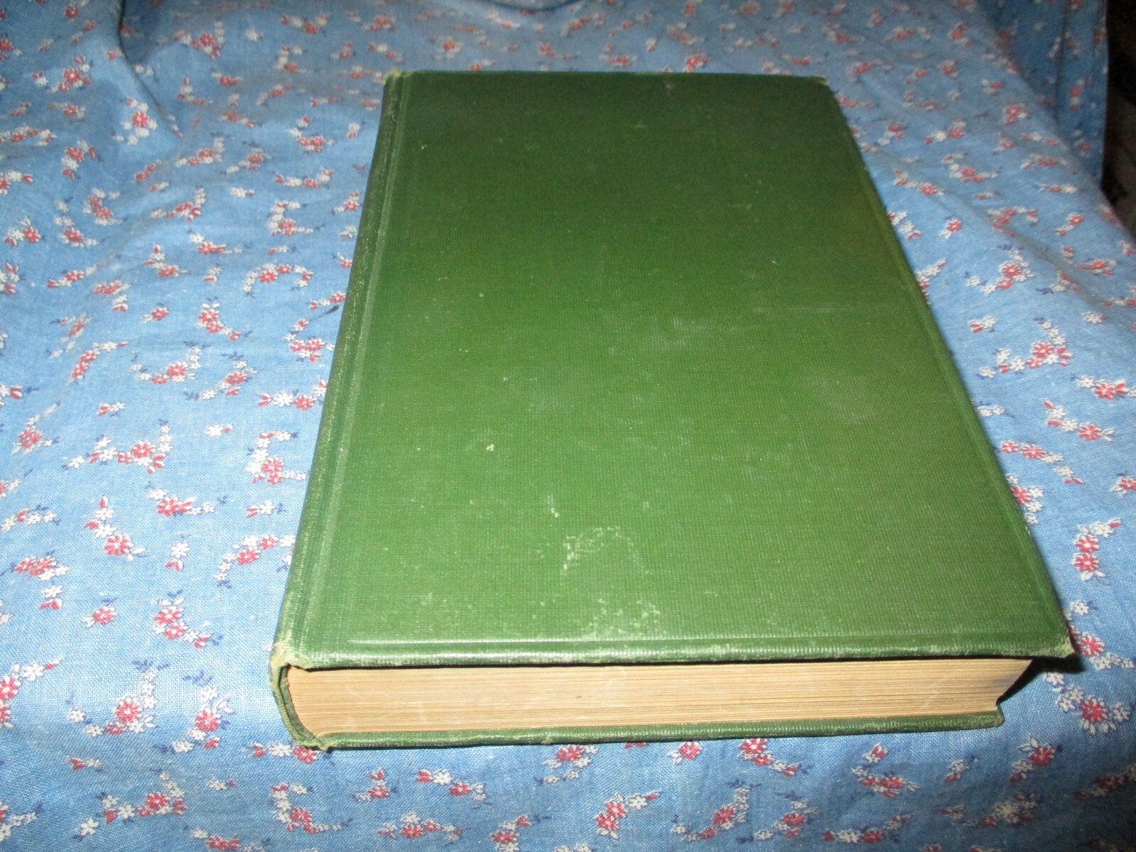 Book An Introduction to Teaching by Bagley, Keith 1924 Macmillan 400 Pages
