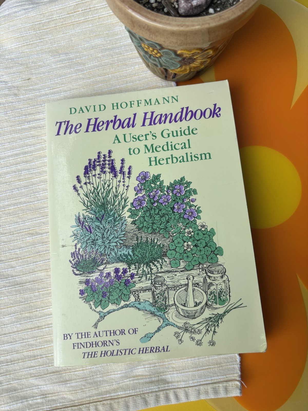 VTG The Herbal Handbook: A User’s Guide to Medical Herbalism David Hoffman 1988