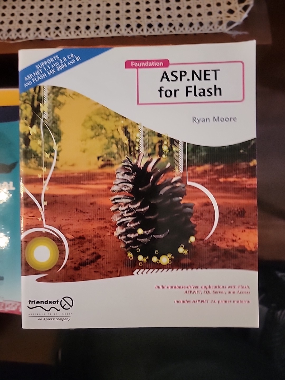 Foundation Ser.: Foundation ASP. NET for Flash by Ryan Moore (2005, Perfect)