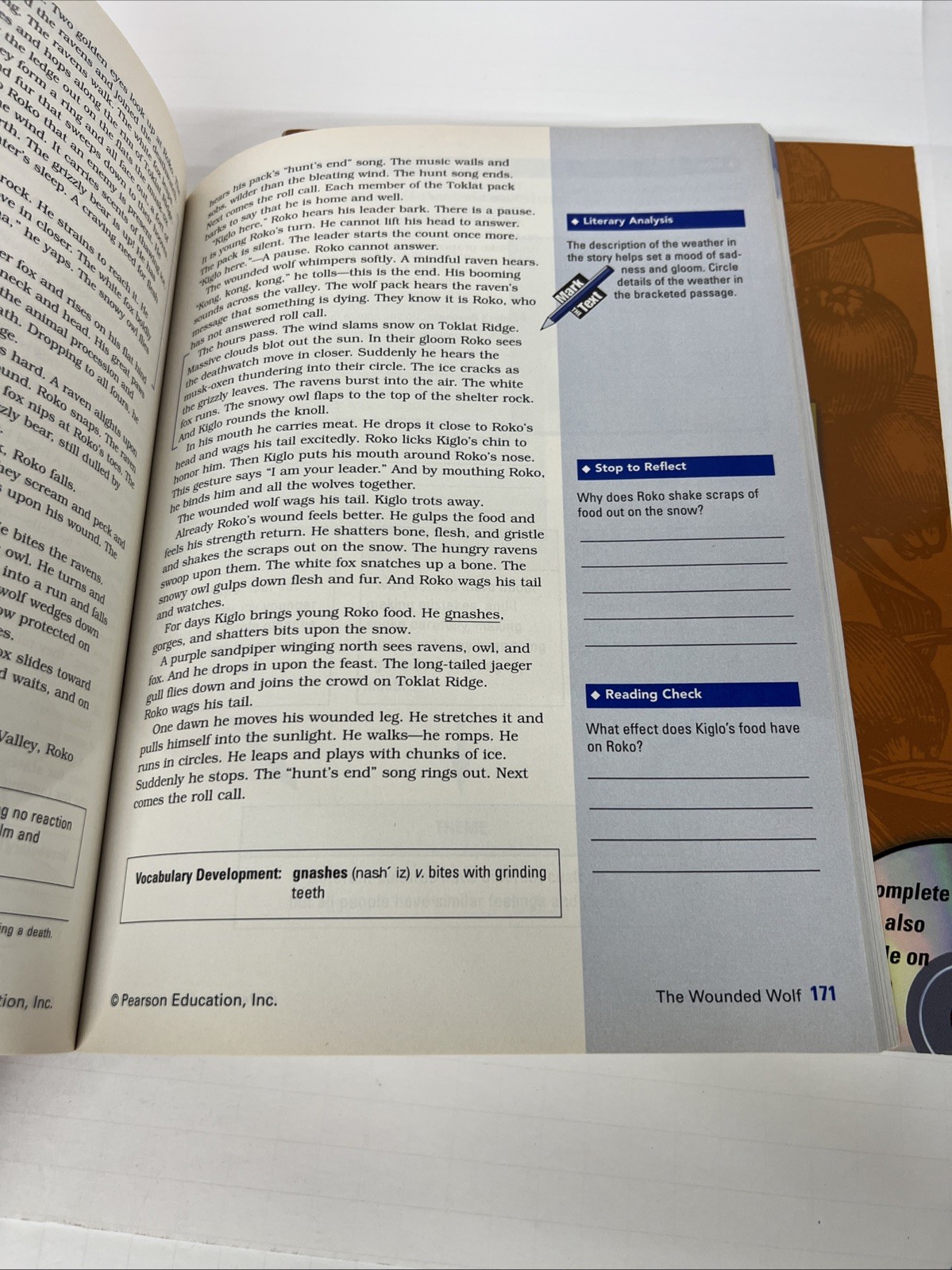 Prentice Hall Literature Copper Instructional Resource Set Reader’s Companion