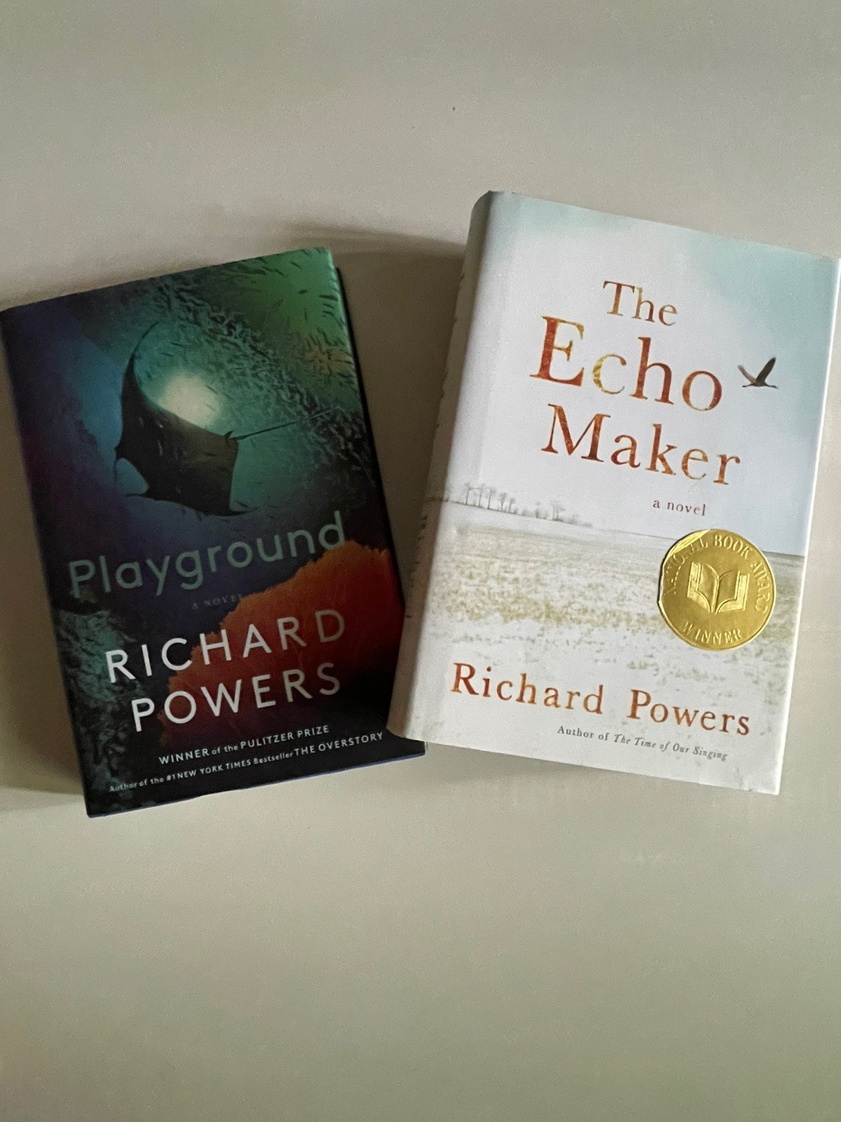 Richard Powers 2 Book Lot Echo Maker (1st 3rd), Playground (1st 1st Print) HC DJ
