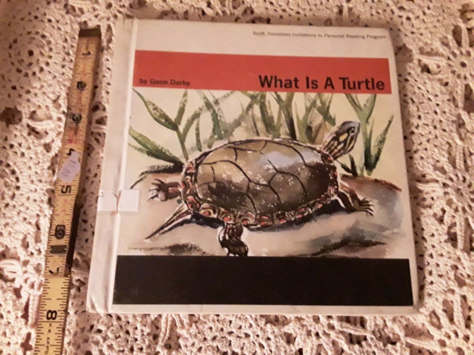 Vintage 1960 What Is A Turtle By Gene Darby Hardcover