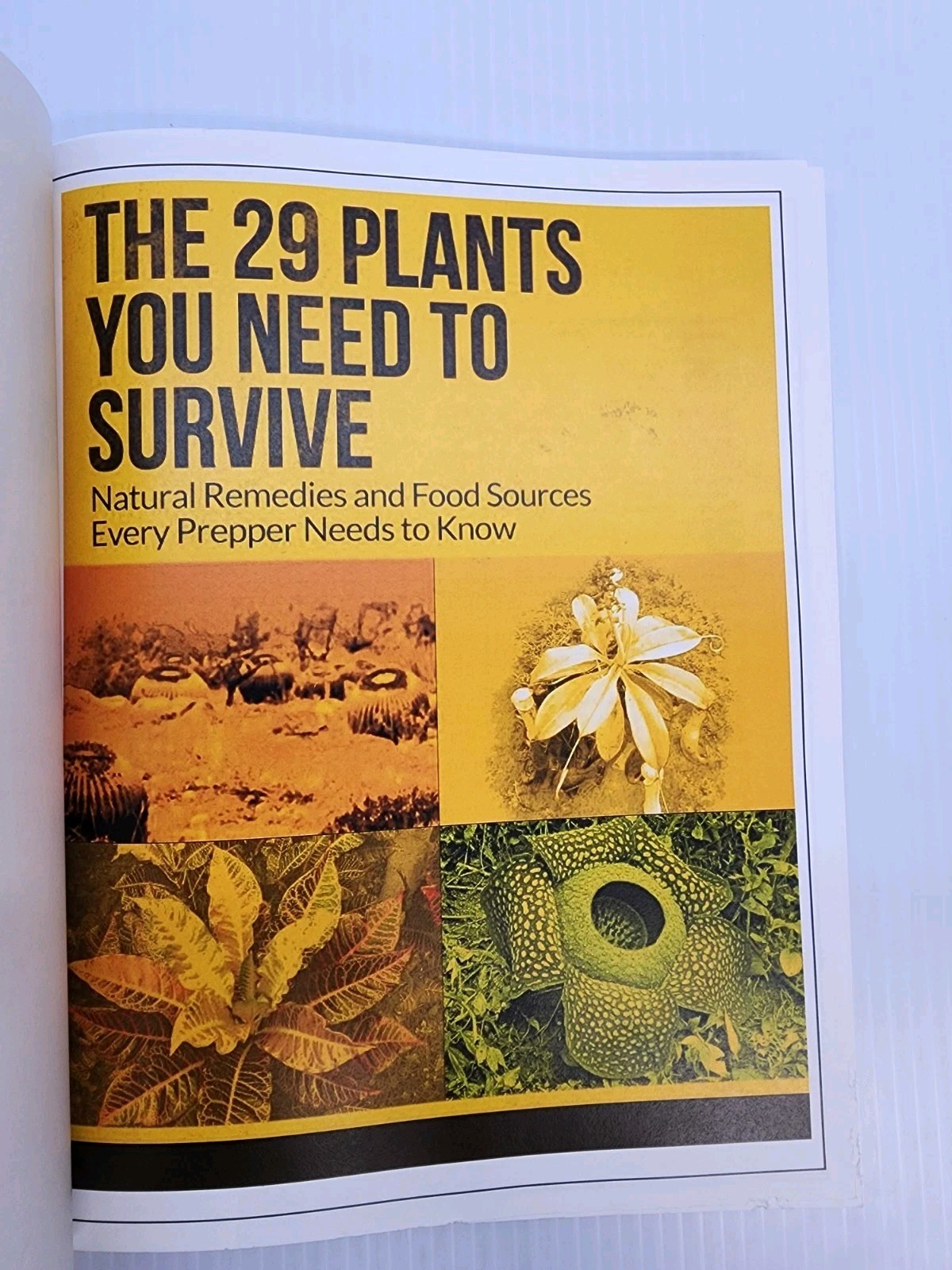 Self-Sufficiency & Survival Package Book 5 In 1 Plants Solar Gardening & More