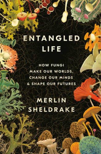Entangled Life: How Fungi Make Our Worlds, Change Our Minds & Shape Our – GOOD