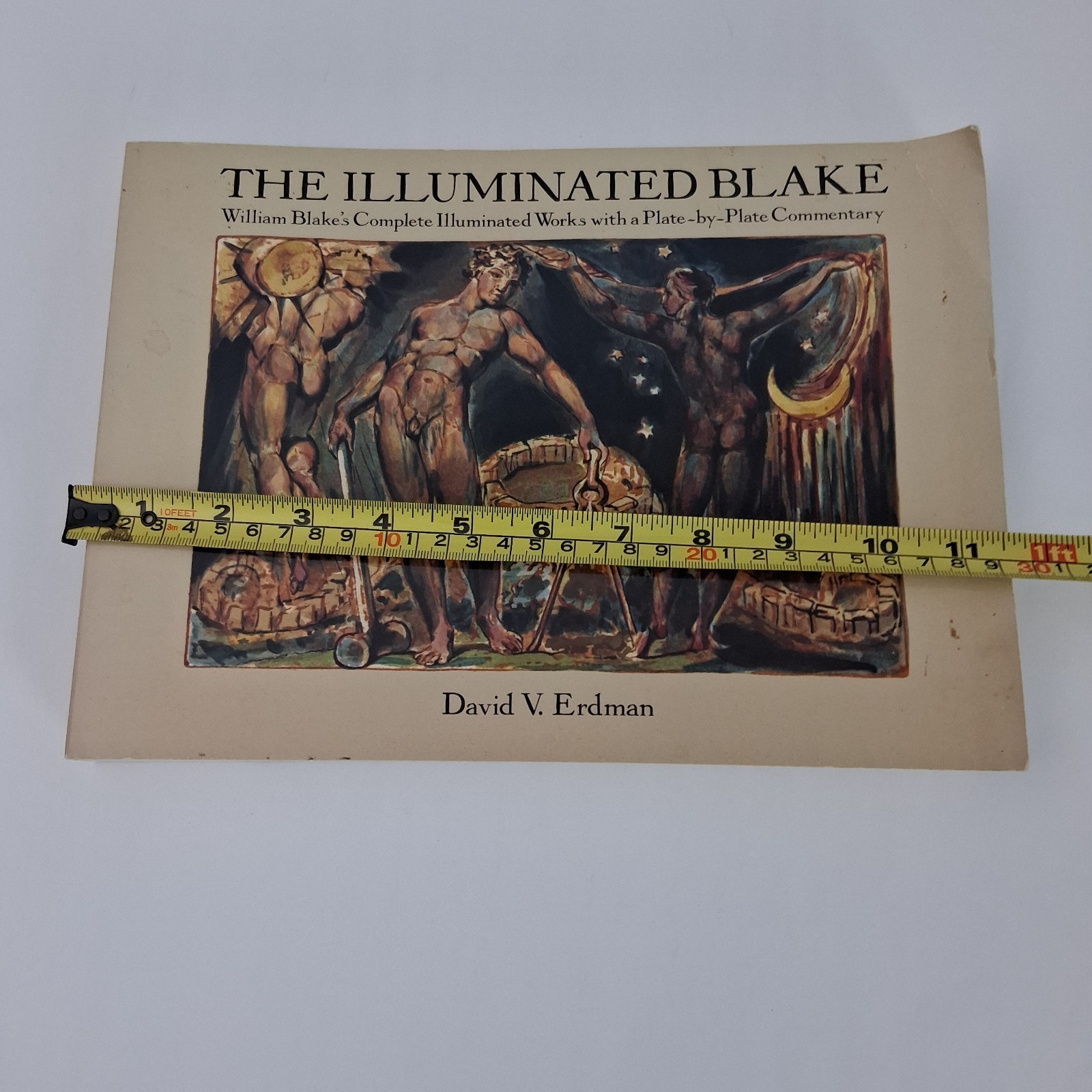 The Illuminated Blake: William Blake’s Complete Illumi… by Blake, William Book