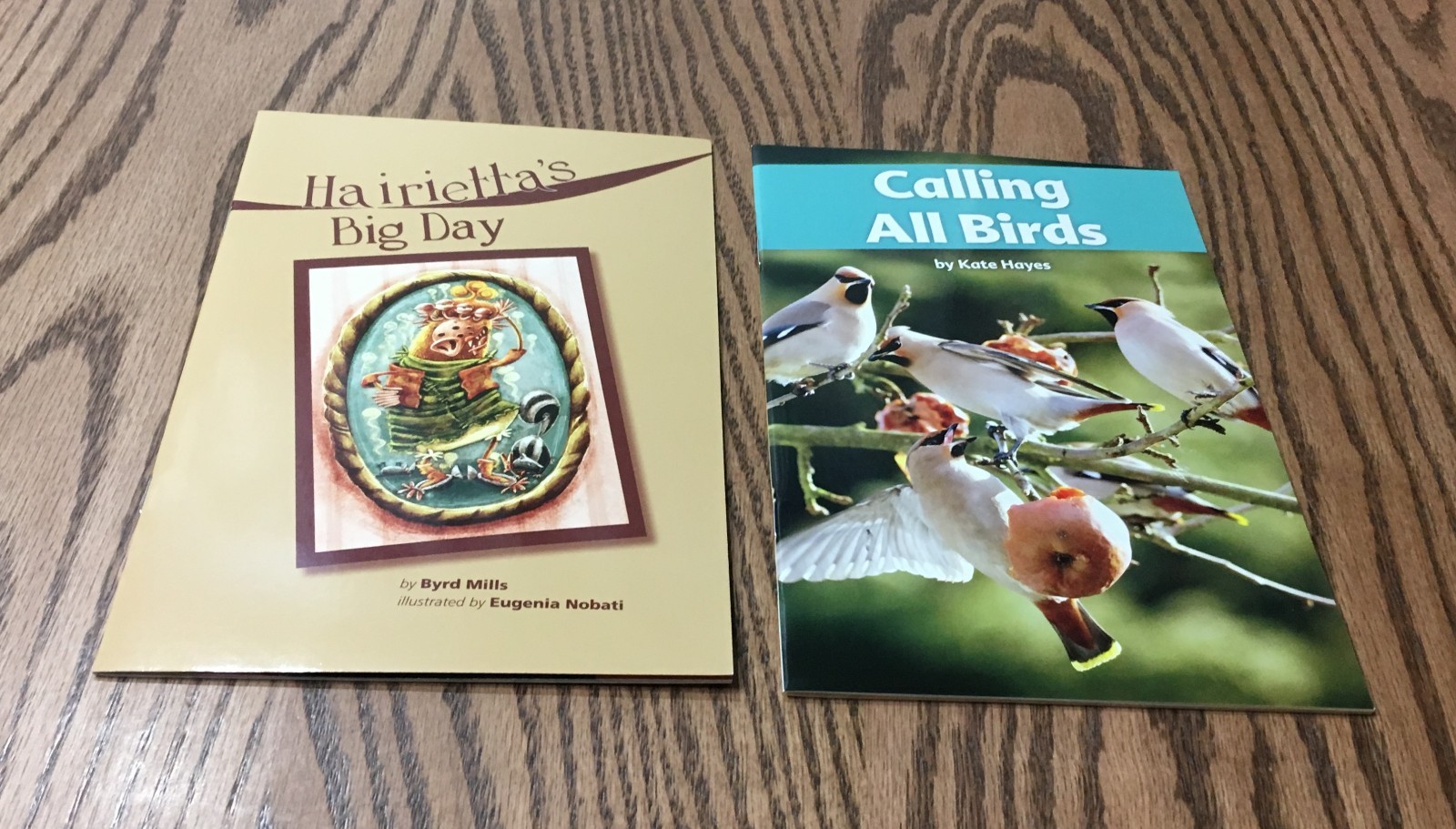 FOUNTAS & PINNELL LEVELED LITERACY INTERVENTION 12 COLOR READERS / RED LEVEL K