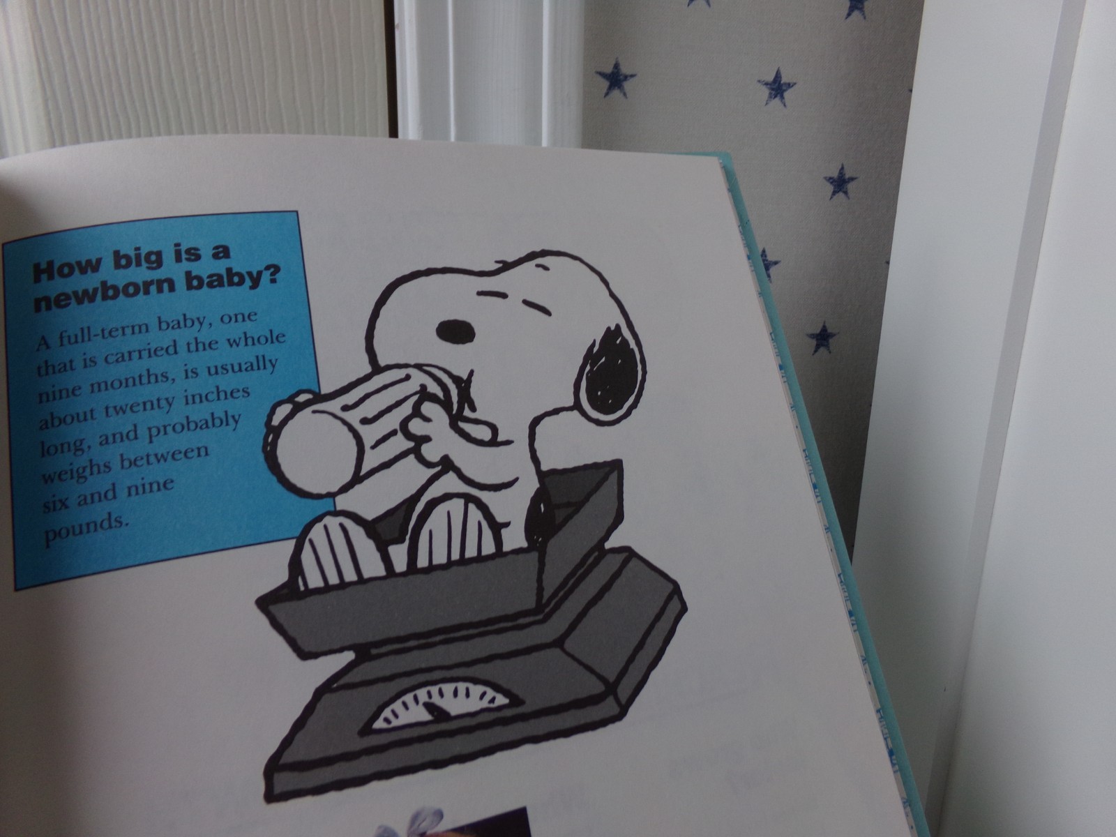 Vol #1 Charlie Brown’s ‘Cyclopedia Book Your Amazing Body From Your Nose to Toes