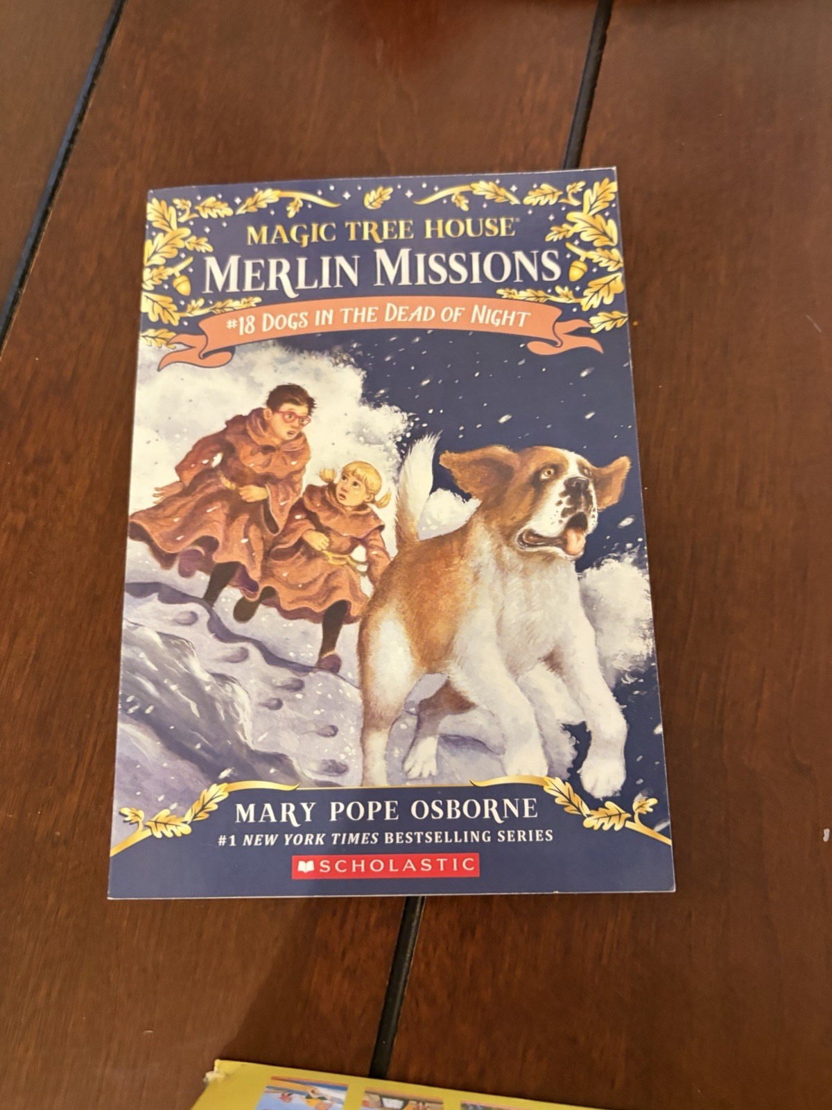 Magic Tree House BOOKS 1–28 Box Collection + BONUS BOOKS