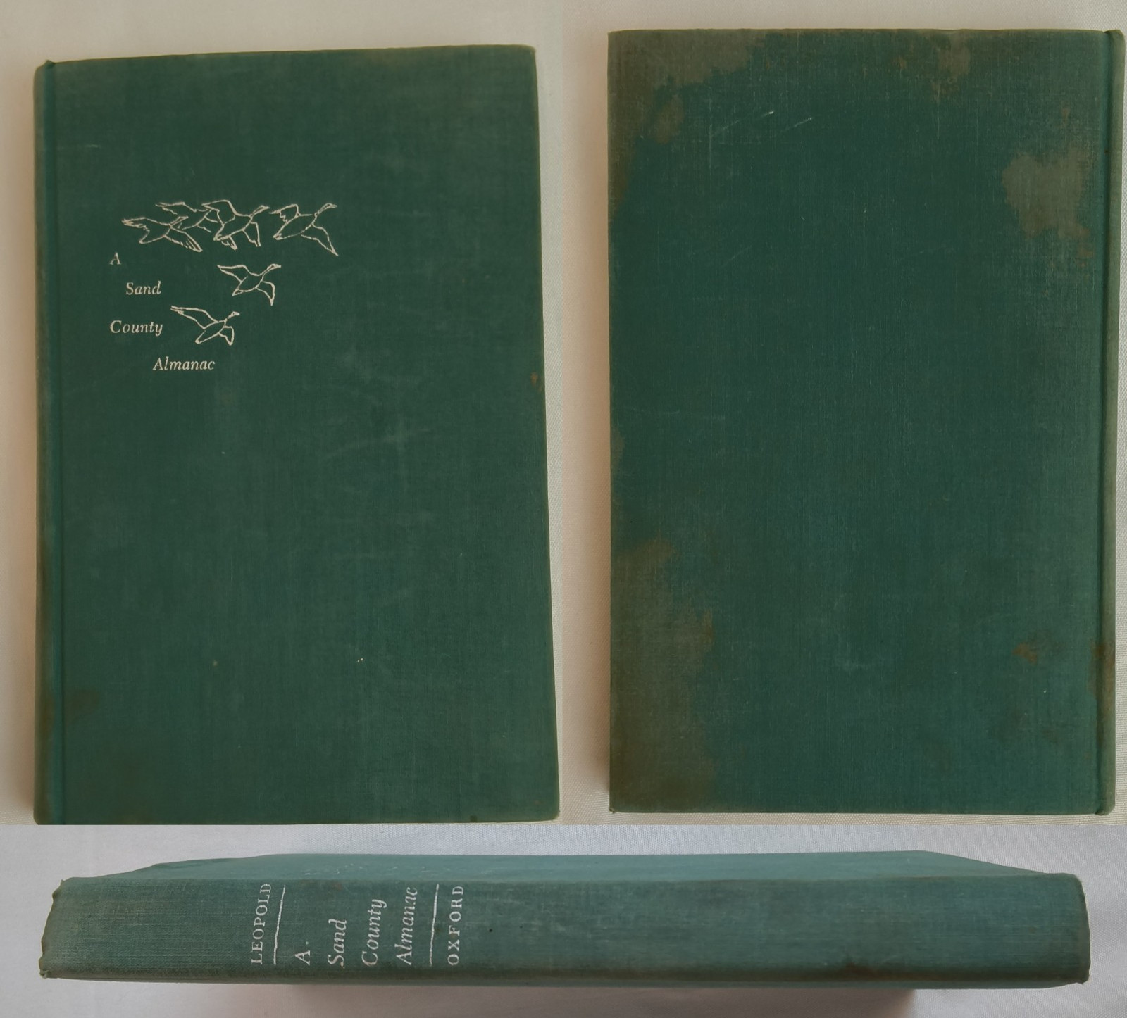 A Sand County Almanac Aldo Leopold Oxford Press 1949 1st Edition #W5317