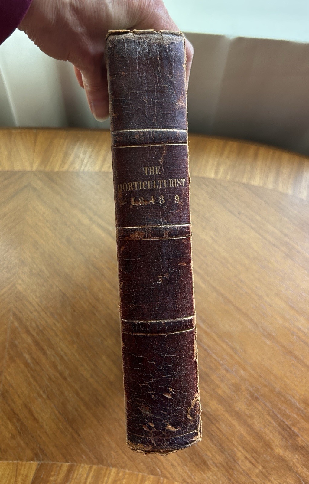 1848 -49 The Horticulturist Vol III AJ Downing Journal Rural Farm Life 1st Ed