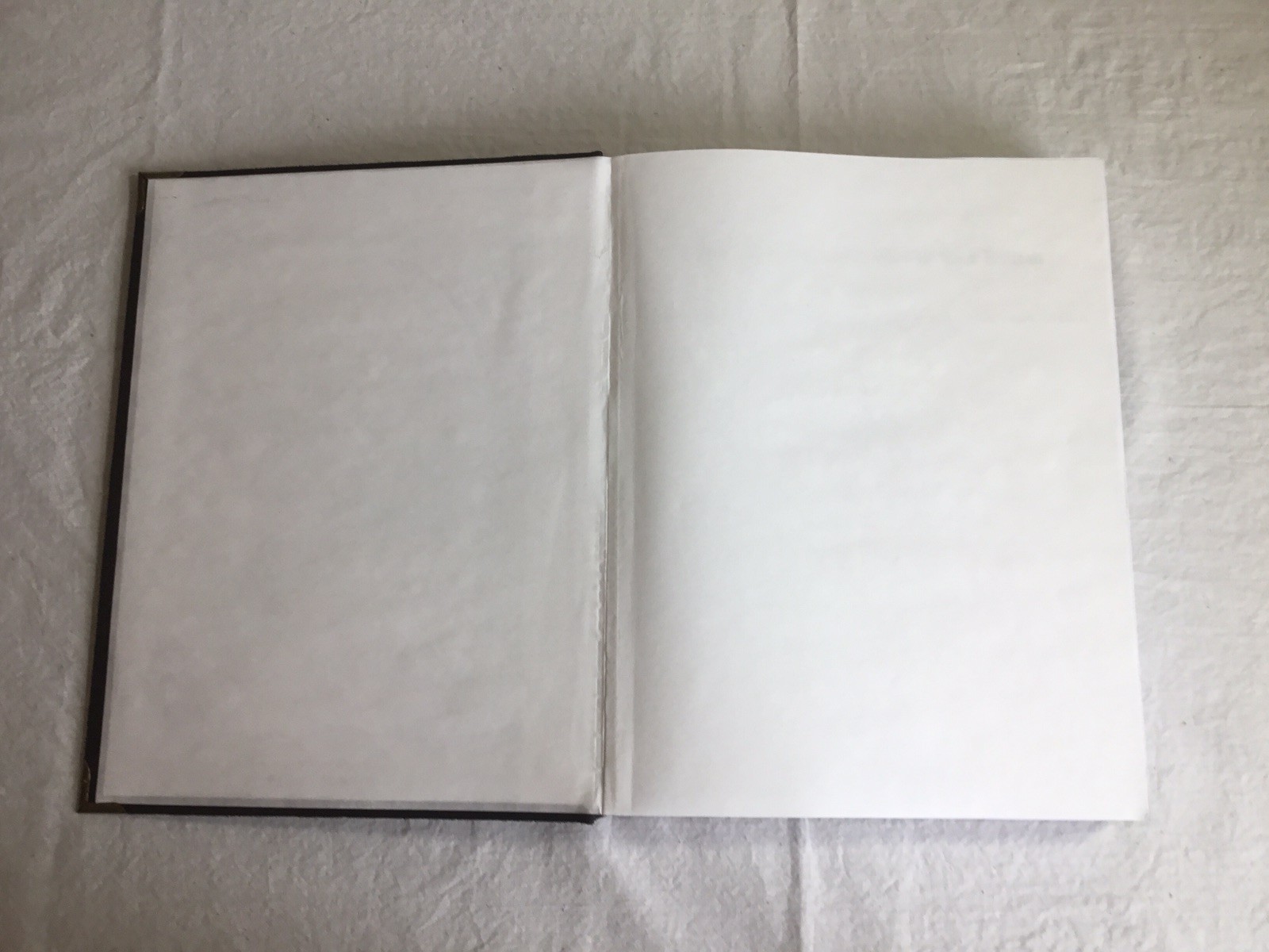 The Complete Apocrypha and Nag Hammadi Libraries, Hand Bound in Suede, Gnostic