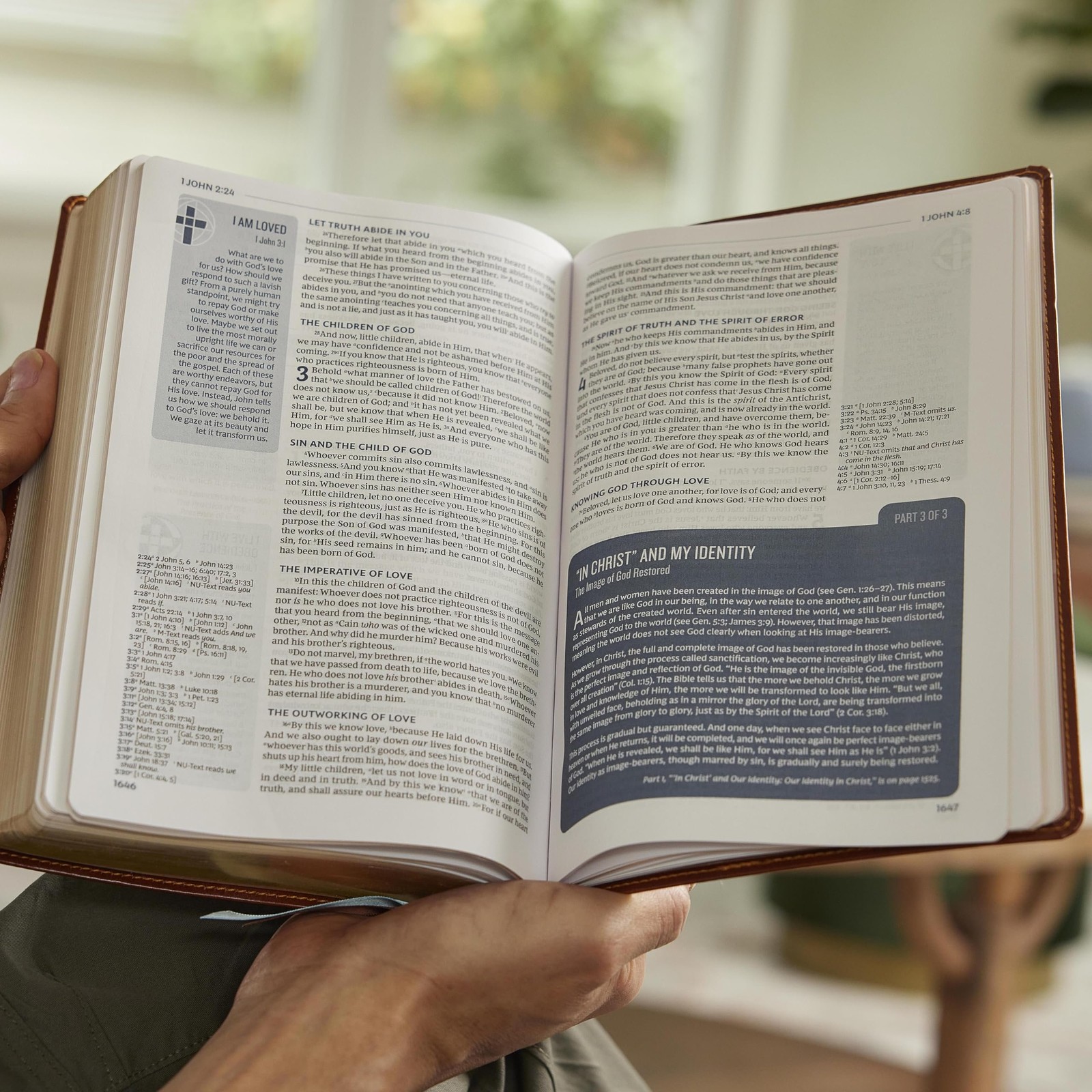 Life in Christ Bible: Discovering, Believing, and Rejoicing in Who God Says…