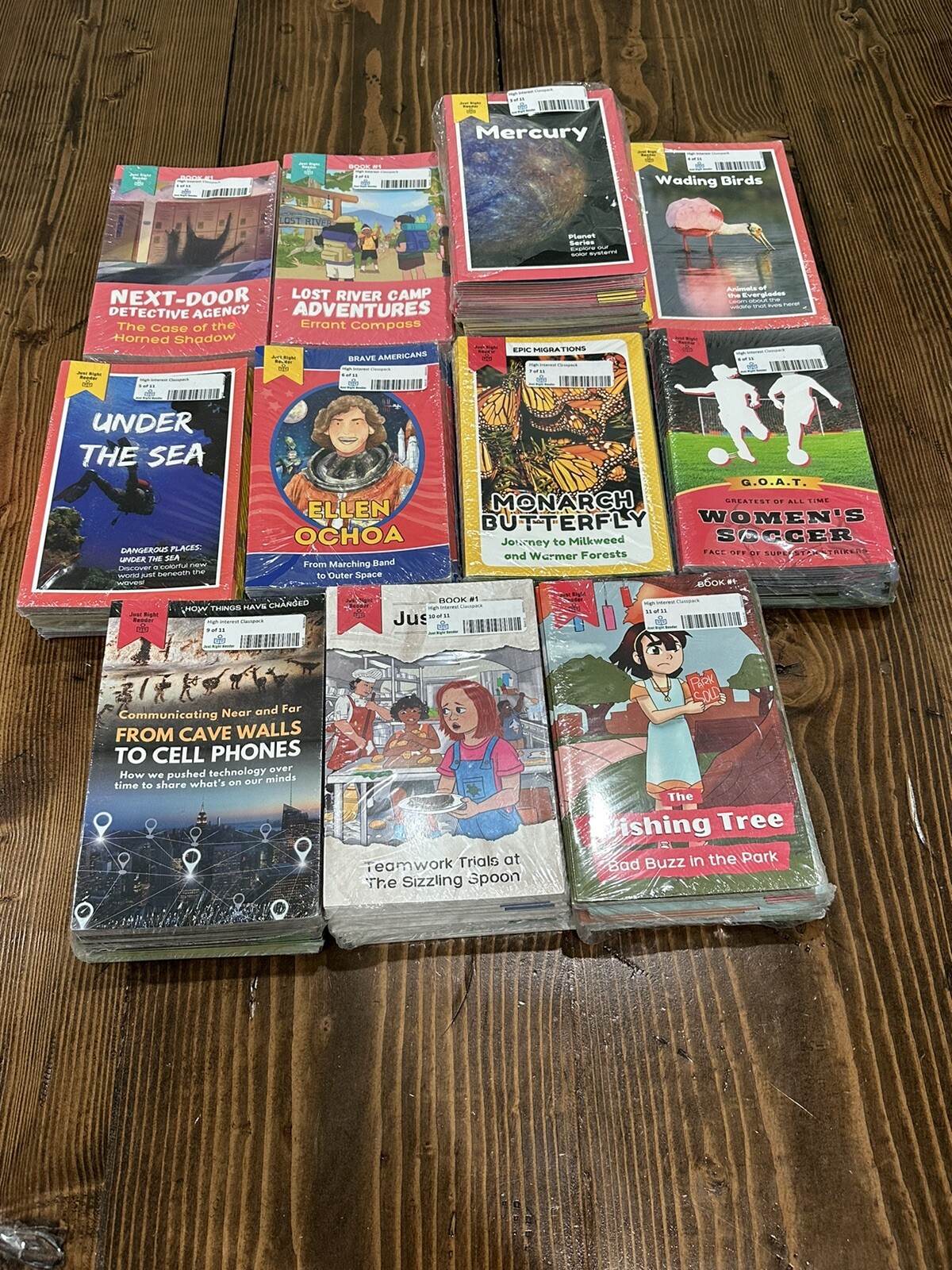 Just Right Reader High Interest Decodables Deluxe Library (1 Copy of 60 Titles)