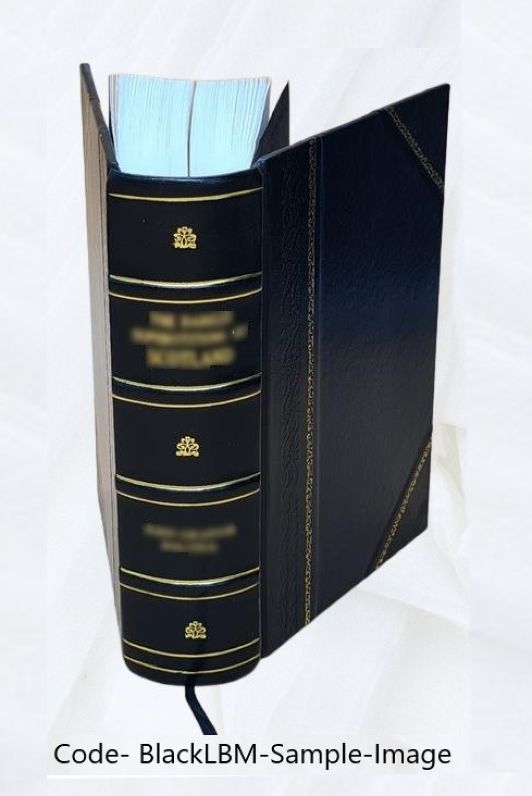 House documents. [359.] 1883/84, Vol. 10 = Congress 48, Sess. 1 [Leather Bound]