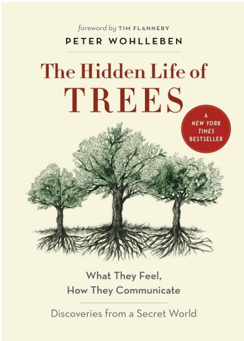 Hidden Life of Trees : What They Feel, How They Communicate–Discoveries from a