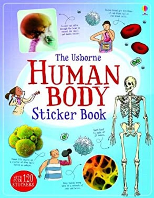 Human Body Sticker Book Science Sticker Books Alex Frith