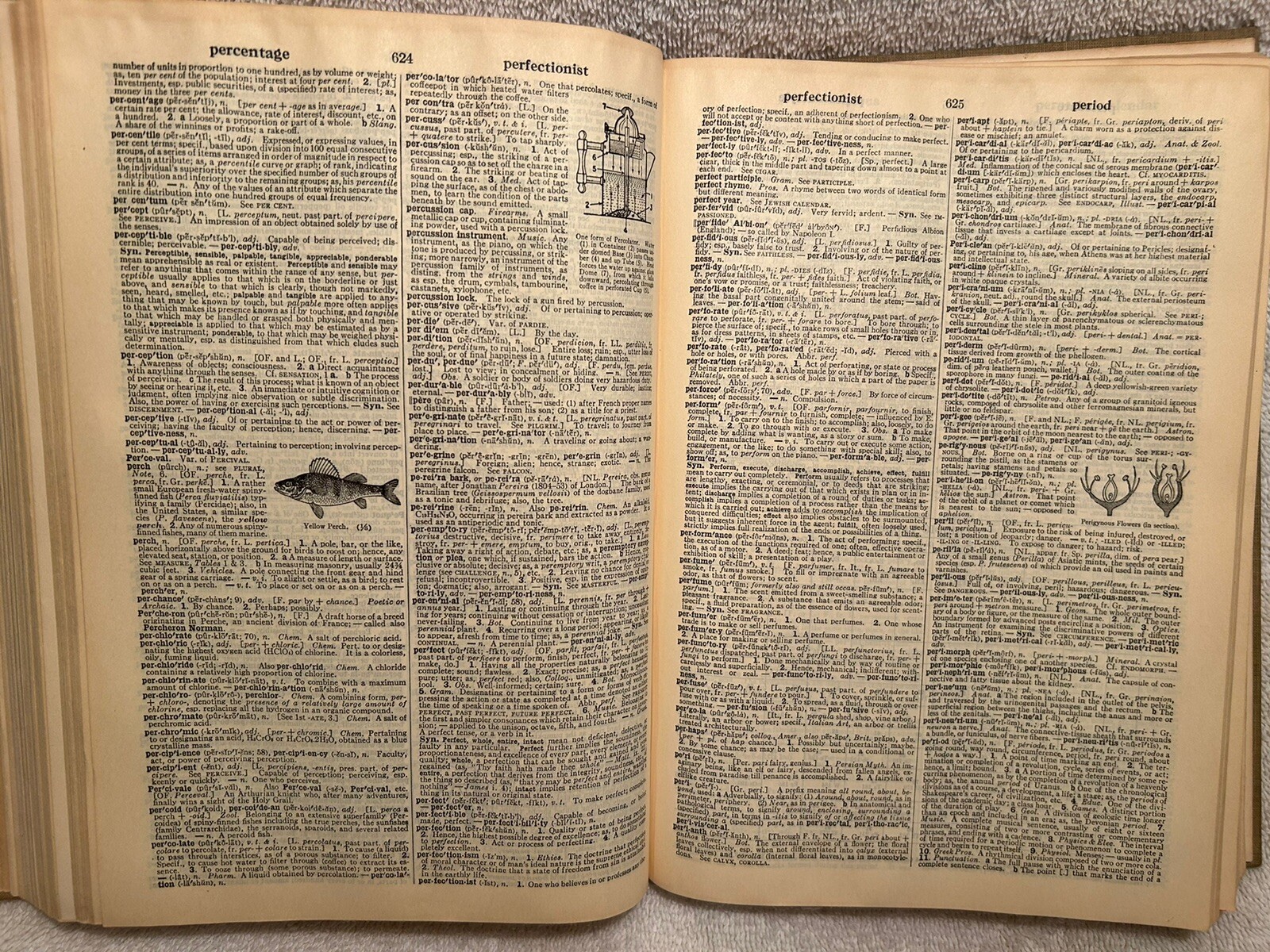 Vtg. Book Webster’s New Collegiate Dictionary 1959 Merriam-Webster 1,174 Pages