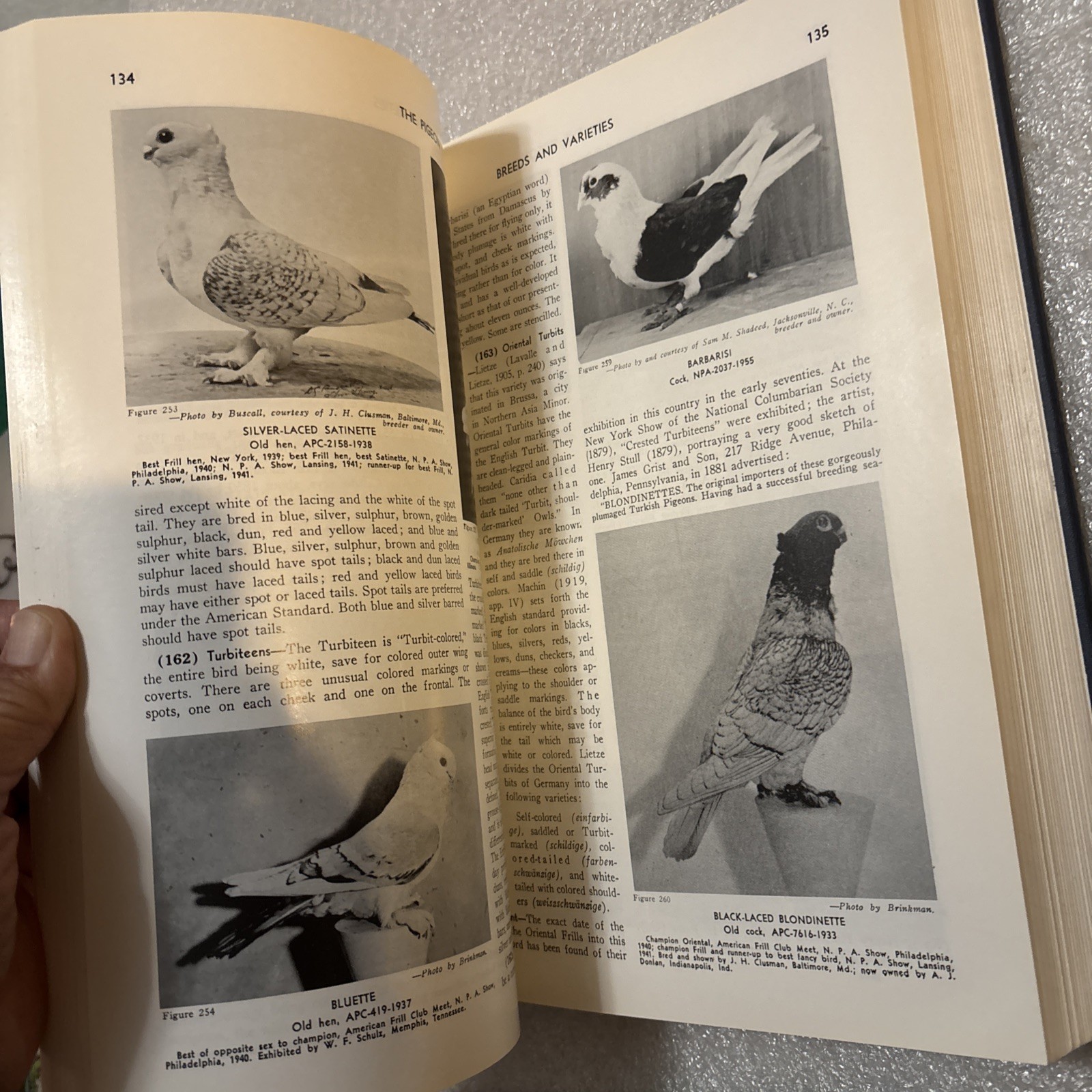 Pigeon by Wendell M. Levi (Hardcover 1998 Reprinted Edition) No DJ