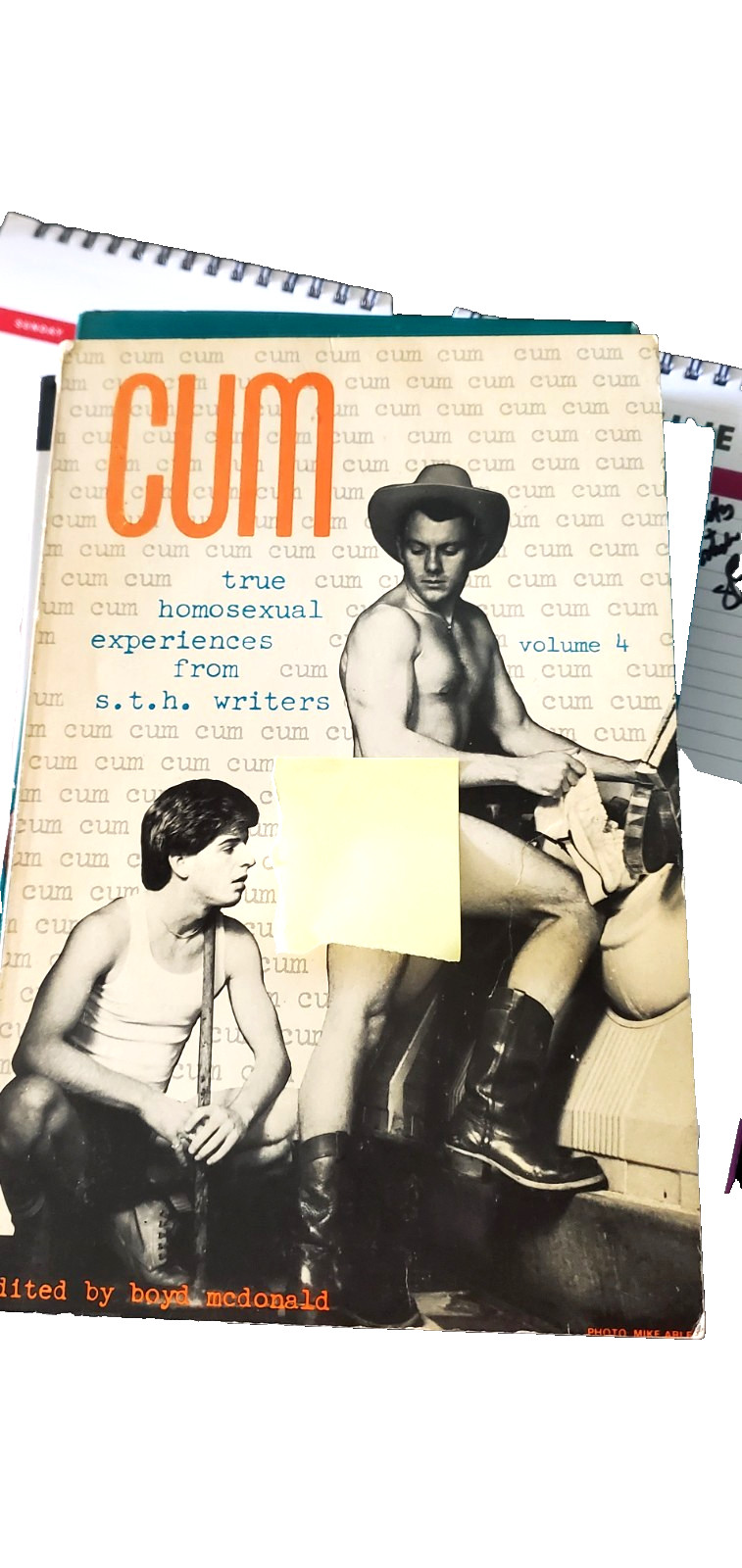 Cum True Homosexual Experiences From S.T.H. Volume 4 Boyd McDonald LGBT+ Pride