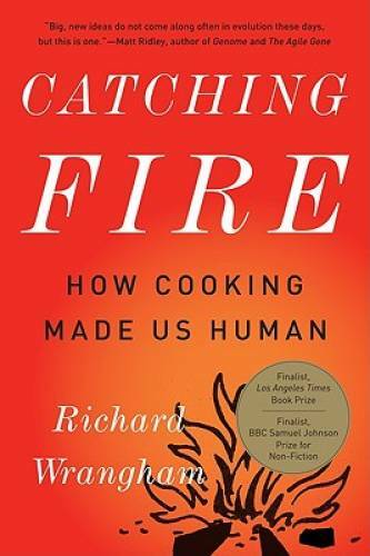 Catching Fire: How Cooking Made Us Human – Paperback By Wrangham, Richard – GOOD