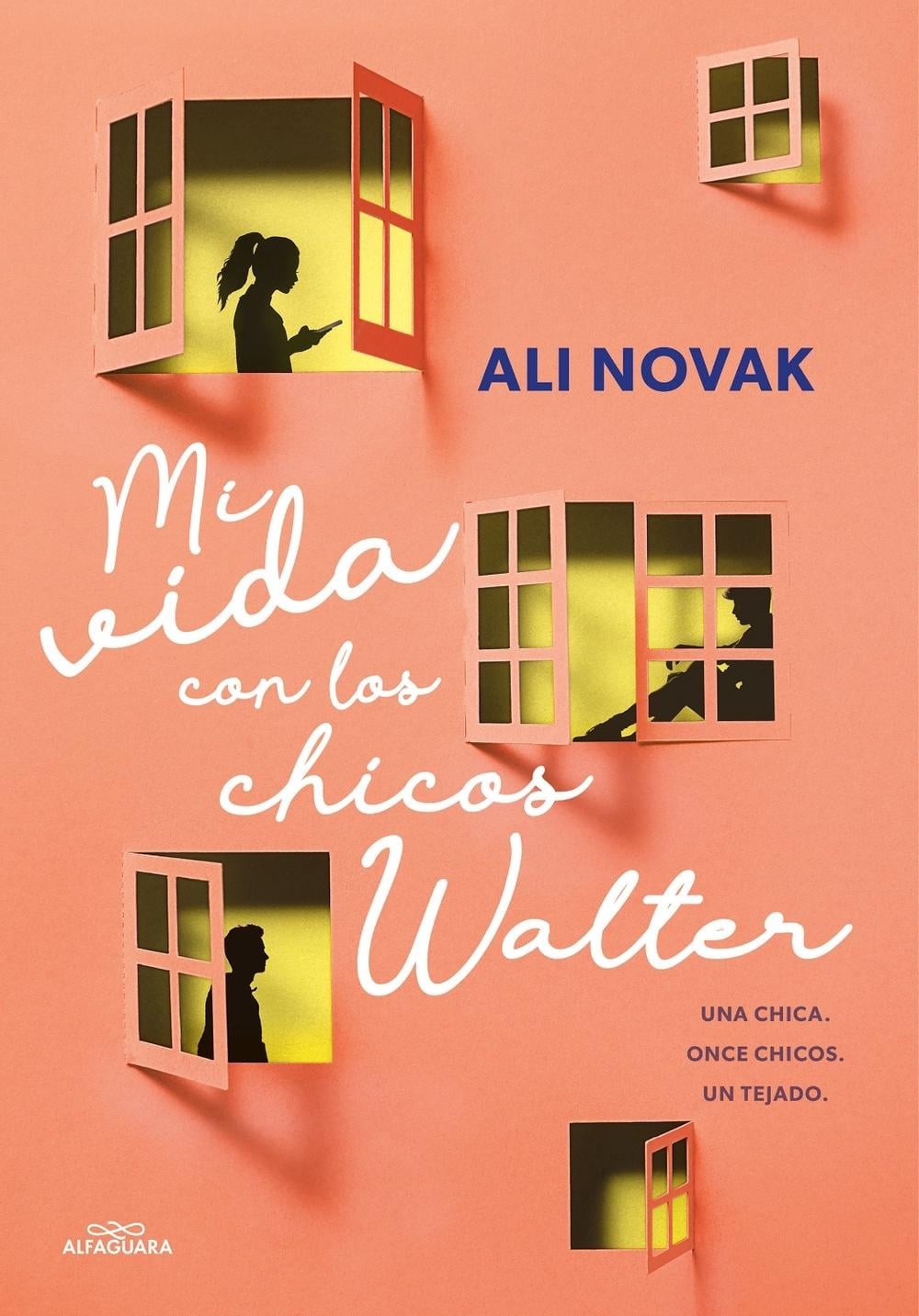 Mi vida con los chicos Walter / My Life With the Walter Boys by Ali Novak (Spani