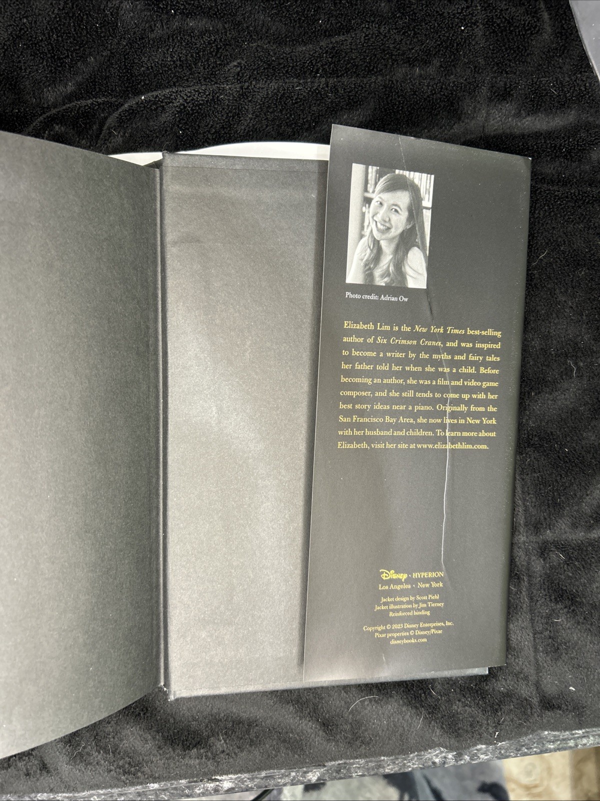Twisted Tale Anthology : A Twisted Tale by Livia Blackburne, Jen Calonita,…