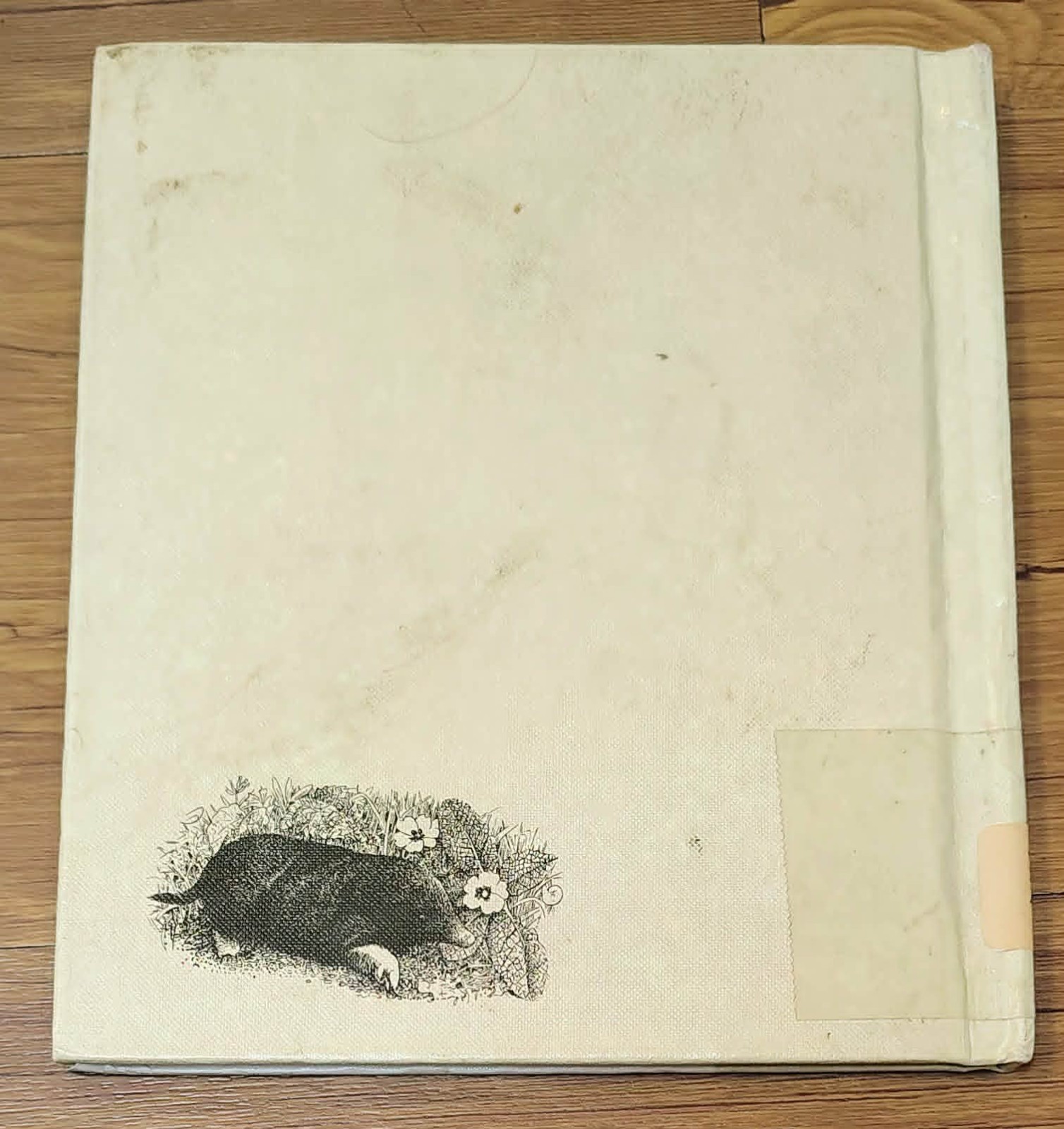 Animals That Burrow (Macdonald First Library ) – Various
