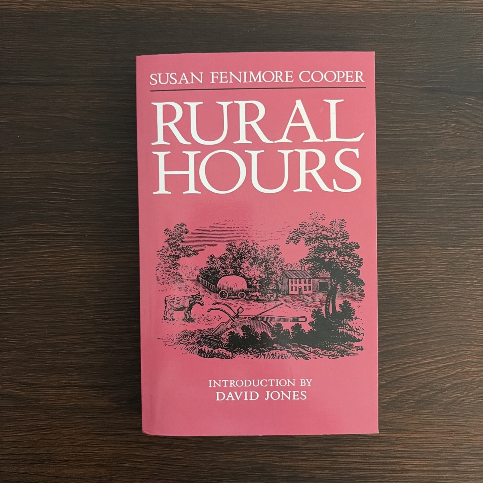 New York State Ser.: Rural Hours by Susan Cooper (1995, Trade Paperback)