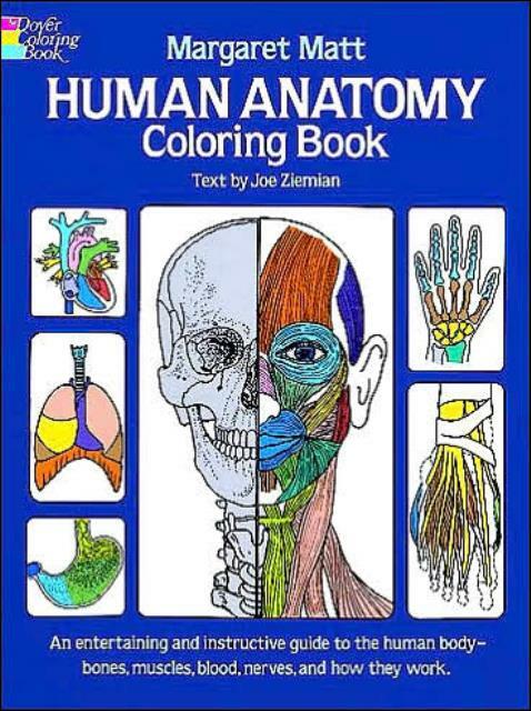 Human Anatomy Coloring Book