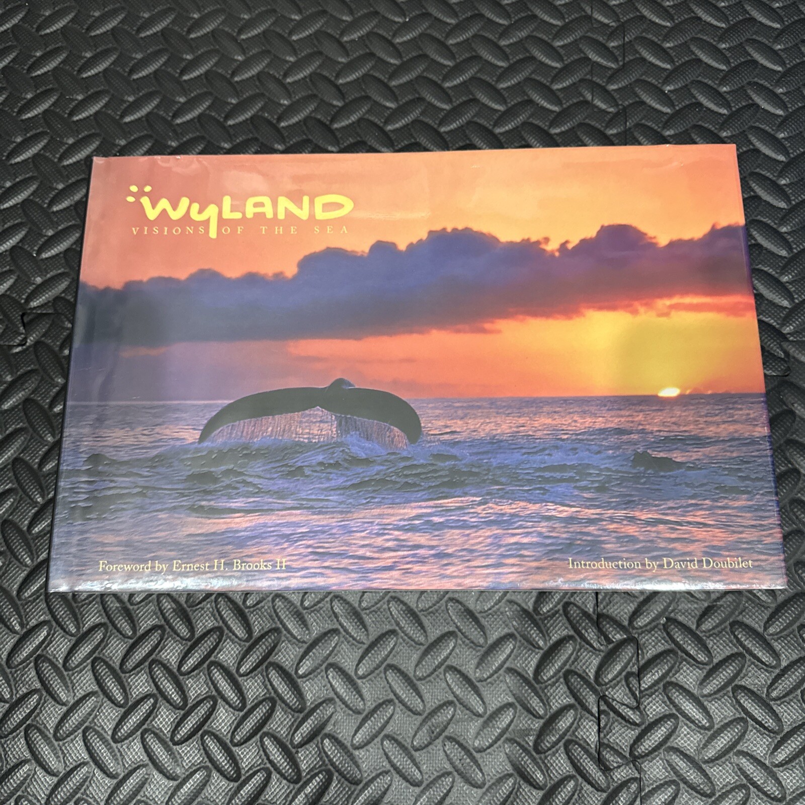 WYLAND: Visions Of The Sea 2008 Collector’s Fine Art Book NEW SEALED