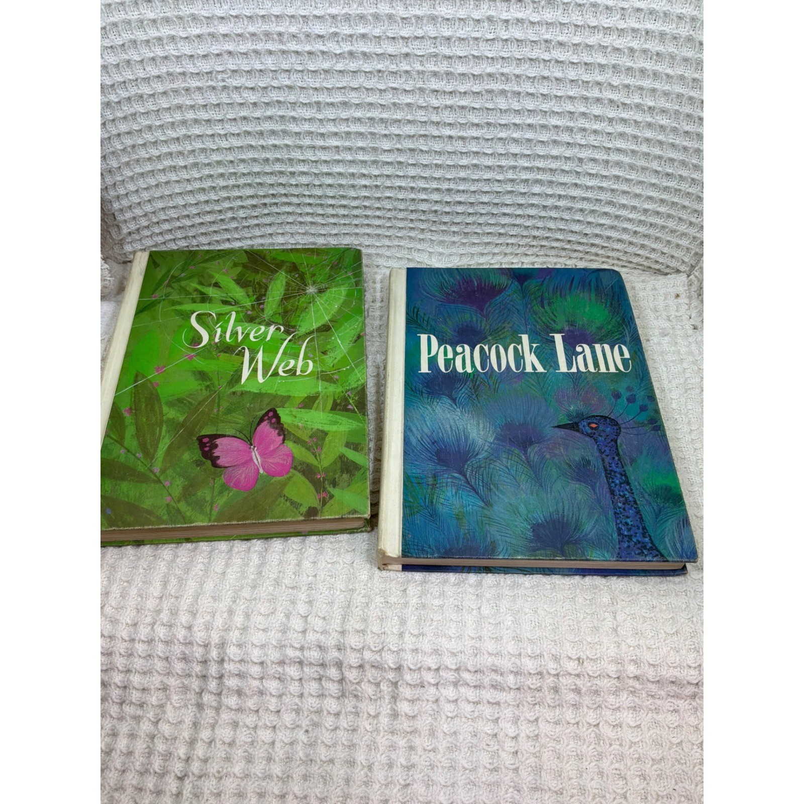 [Vintage] Kids DC Heath Reading Caravan Books Silver Web Peacock Lane 1964 Green