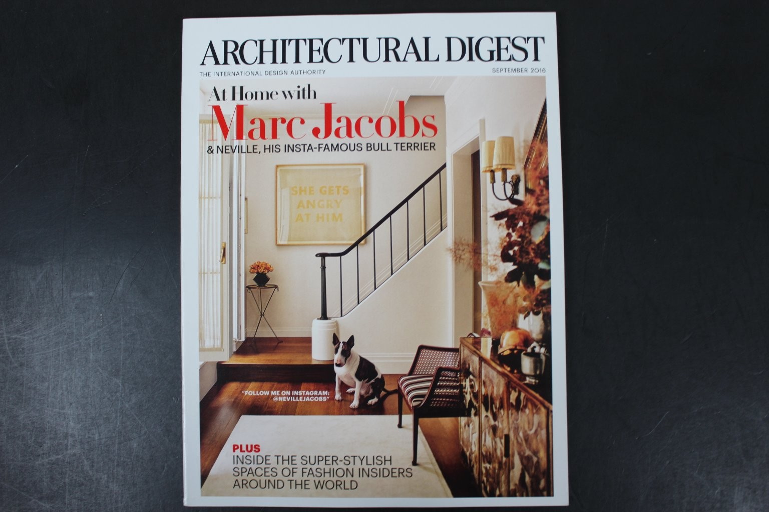 Architectural Digest September 2016 Marc Jacobs Neville Bull Terrier Magazine VG