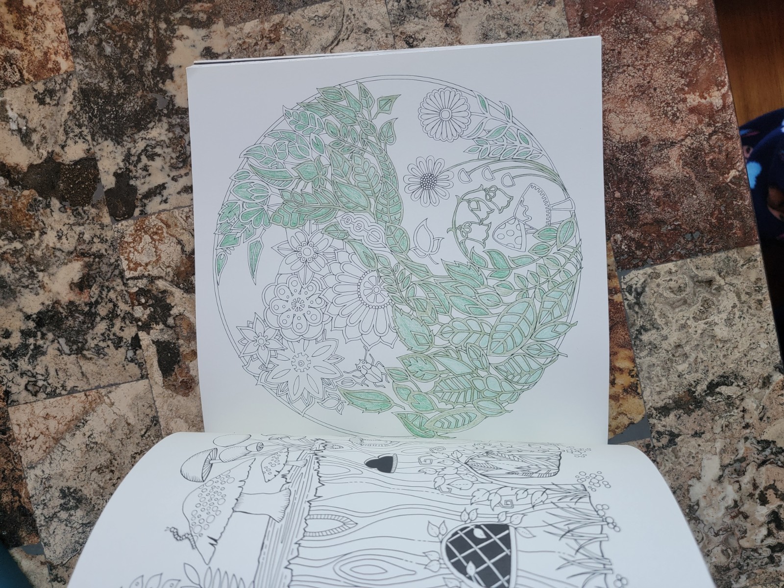 Enchanted Forest Coloring book- paperback Basford, Johanna