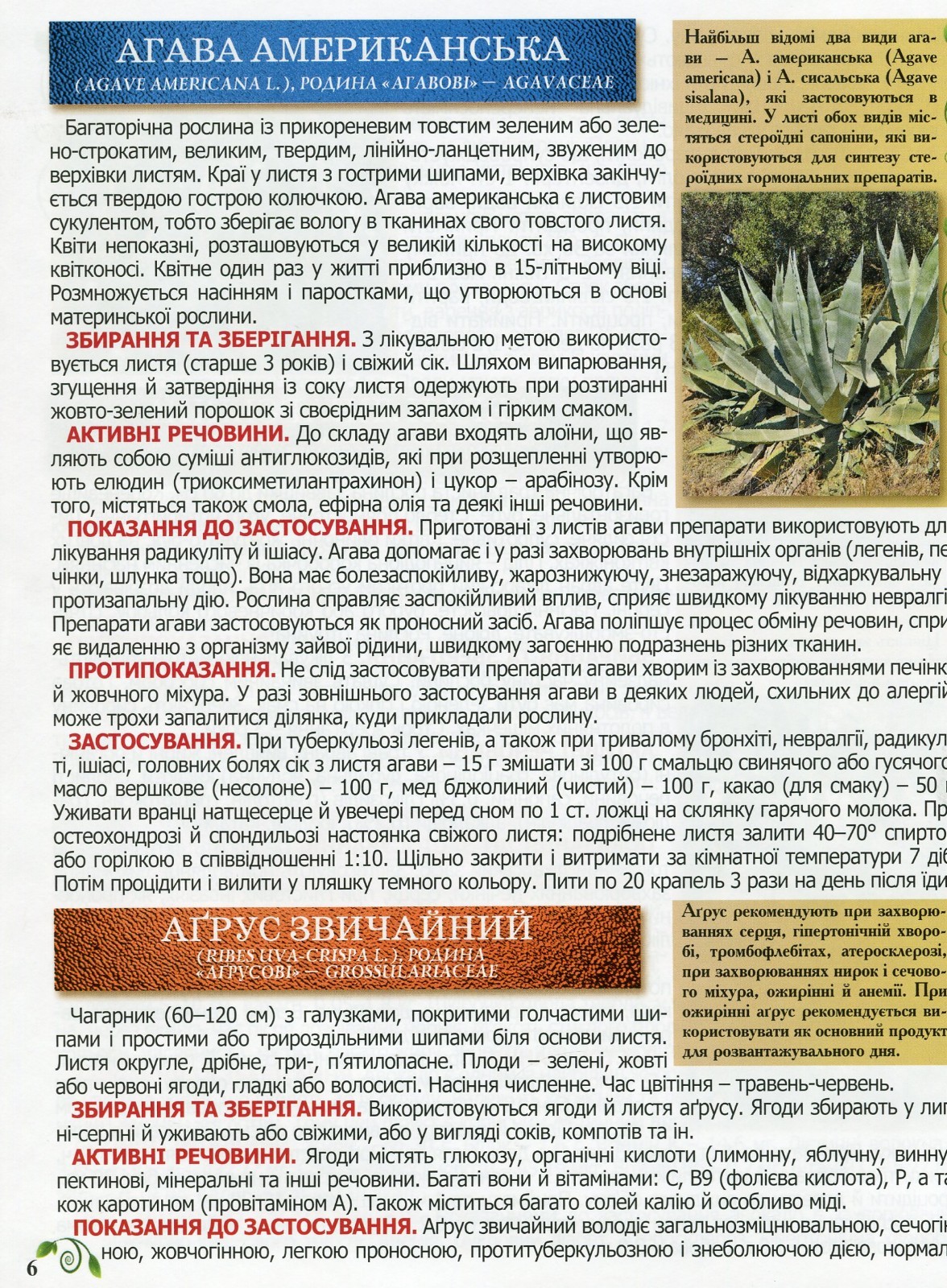 Book In Ukrainian Повний атлас лікарських рослин Author not specified Complete