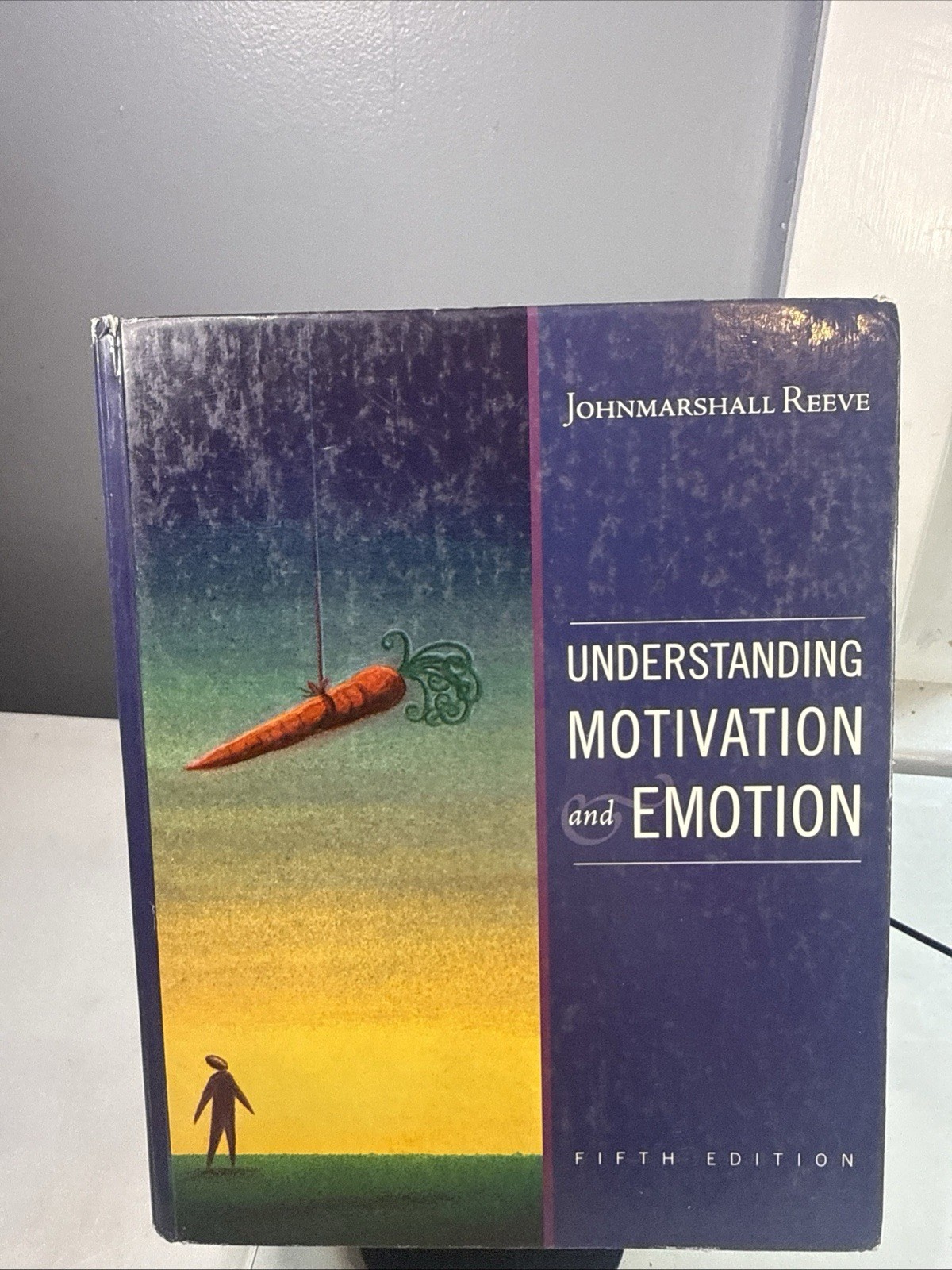 Understanding Motivation and Emotion by Johnmarshall Reeve: Used