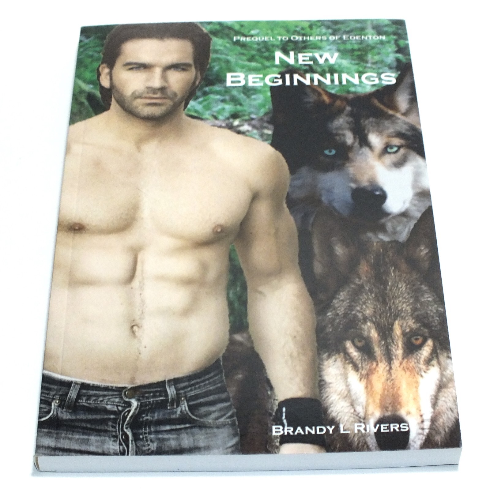 New Beginnings Paperback Book Brandy L Rivers Author Signed Romance Story Novel