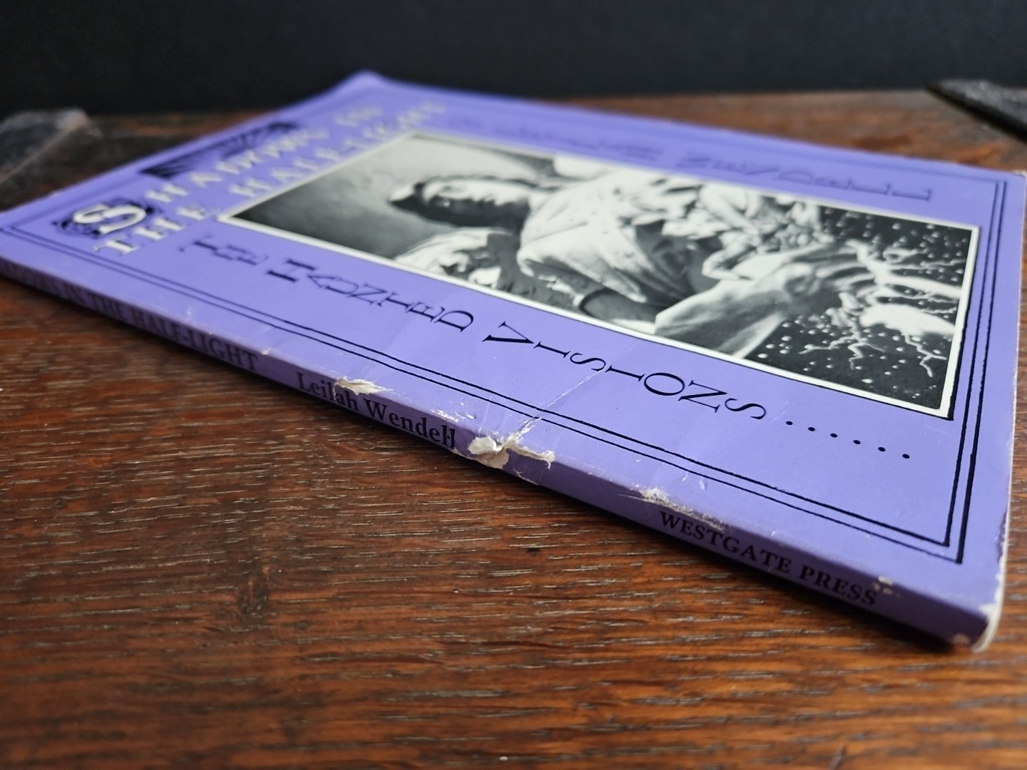 SIGNED Shadows In Half Light Haunted Visions of Leilah Wendell 1st Ed Review Cpy