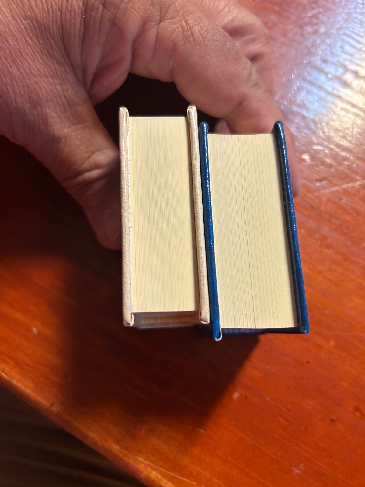 DEL PRADO Complete in MINIATURE Blaise Pascal in 2 volumes Made in Spain *
