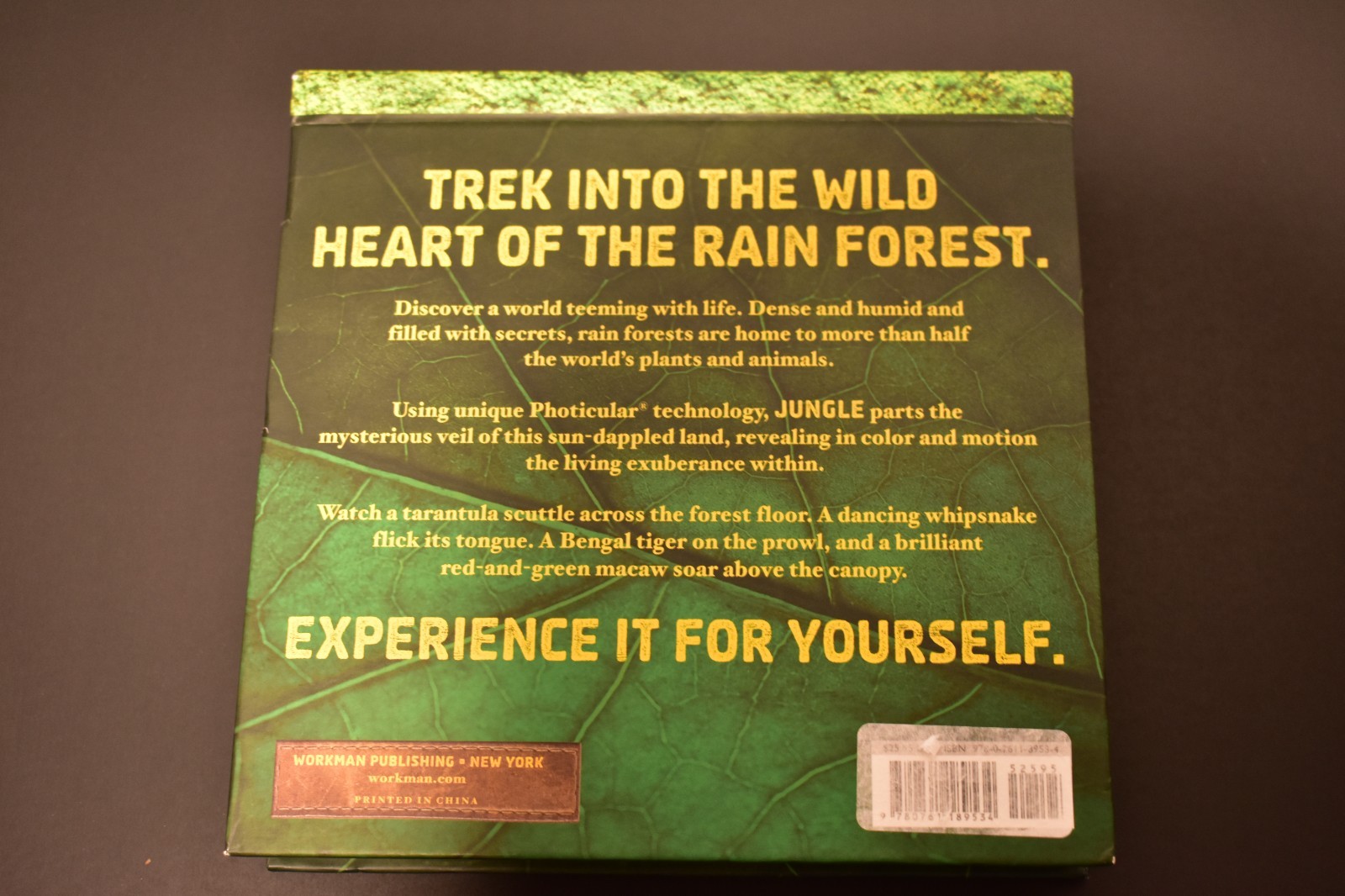 Jungle and Wild by Kathy Wollard and Dan Kainen (2016, Hardcover)