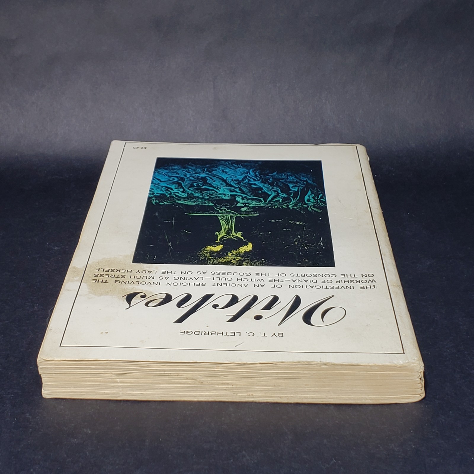 Witches by T. C. Lethbridge First American Printing 1968 TPB Book Citadel Press