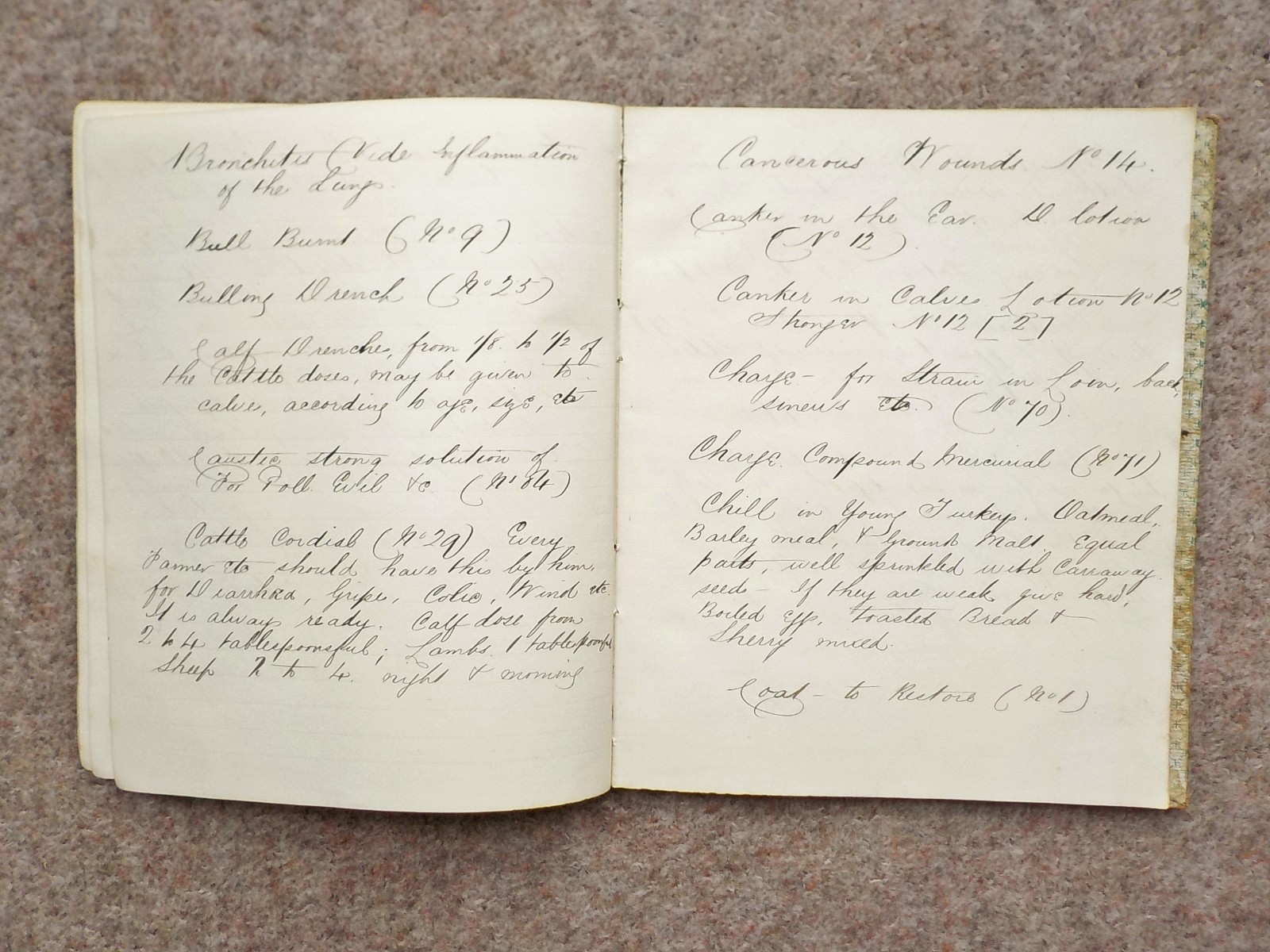 1886 Veterinary handwritten book Cures Recipes 91 pages Horses Dogs Cattle etc