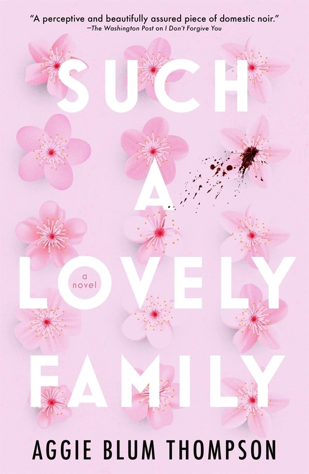 Such a Lovely Family by Aggie Blum Thompson (English) Paperback Book
