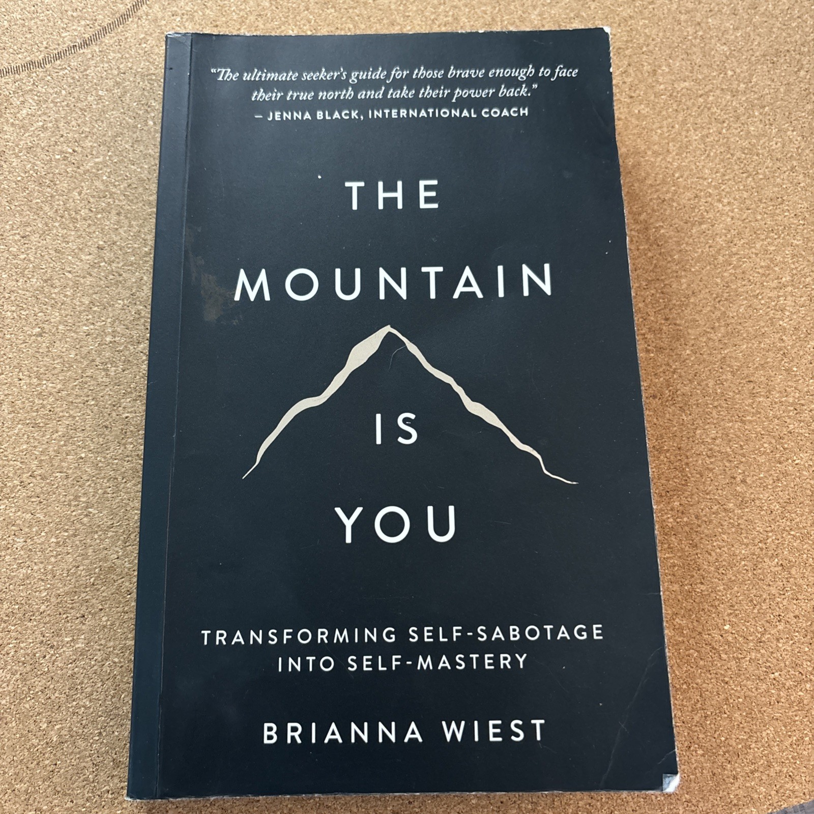 The Mountain is You By Brianna Wiest USA Stock Premium Quality Free Shipping