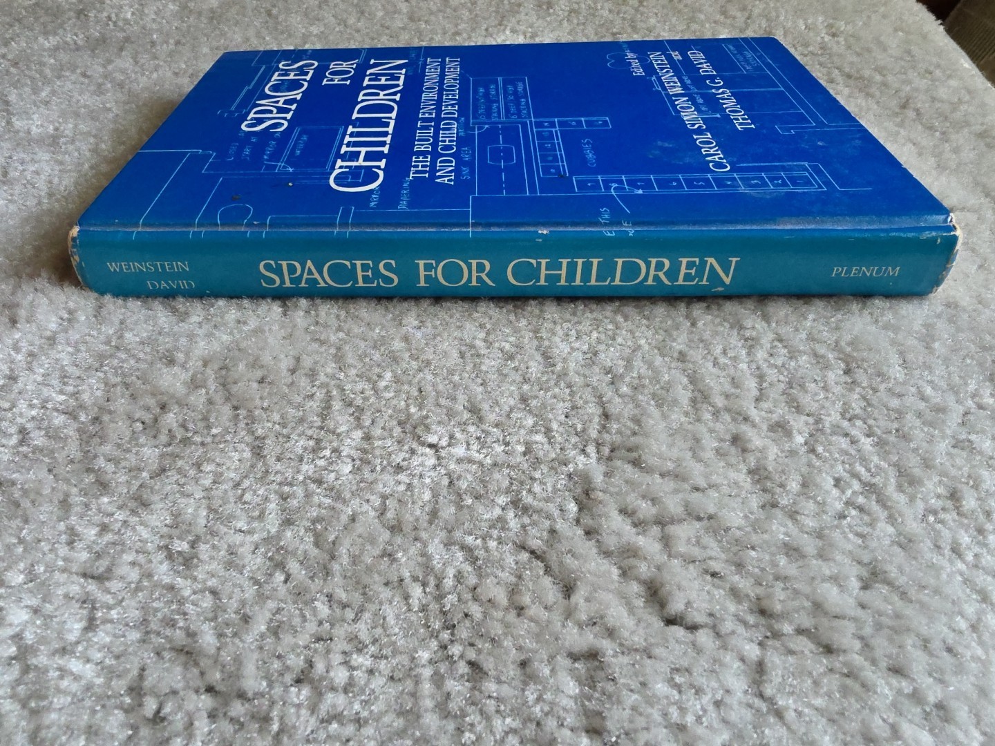 Spaces for Children: The Built Environment and Child Development