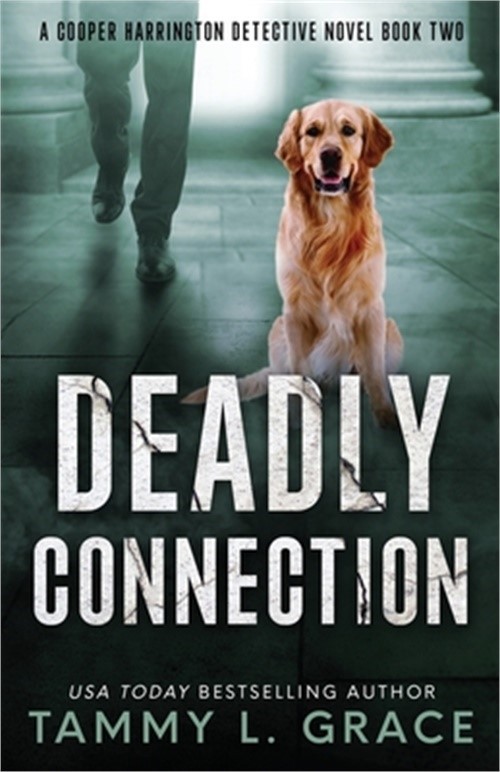 Deadly Connection: A Cooper Harrington Detective Novel (Paperback or Softback)
