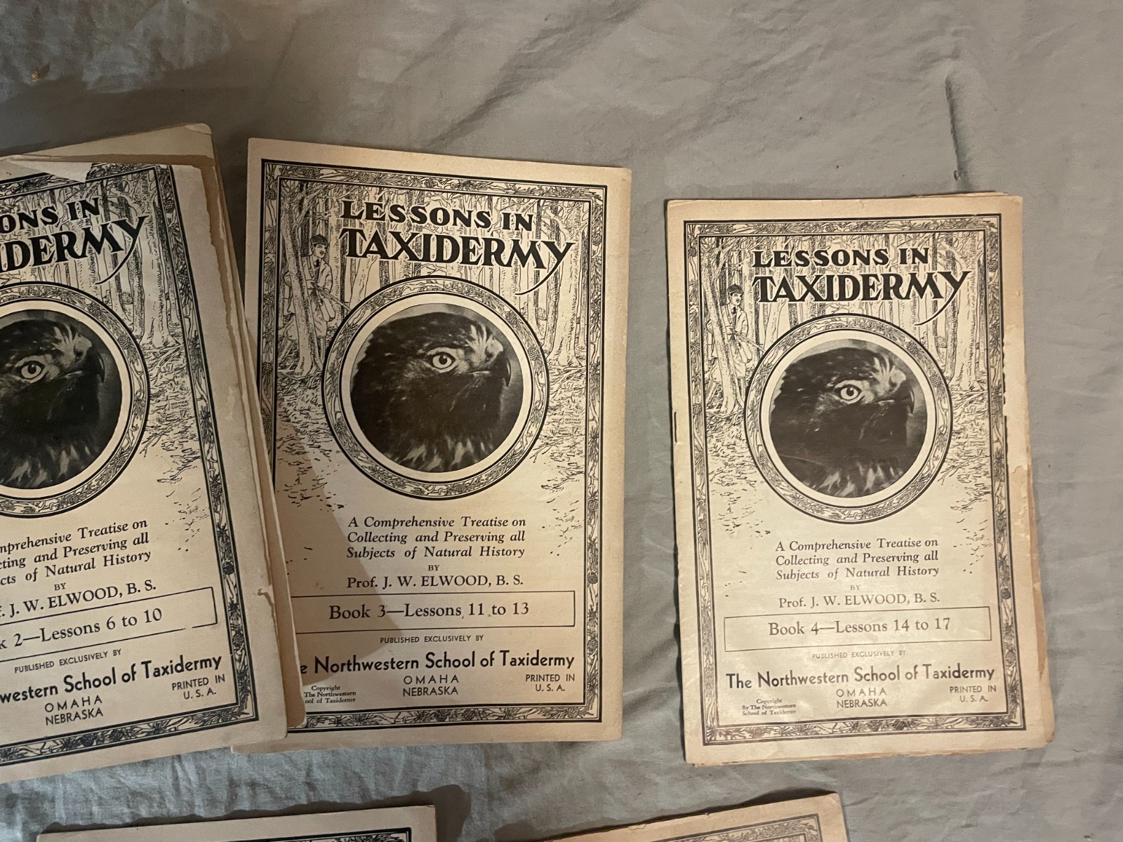 J.W. Elwood 1905 Lessons in Taxidermy Books 1 2 3 4 7 8 9 Vintage