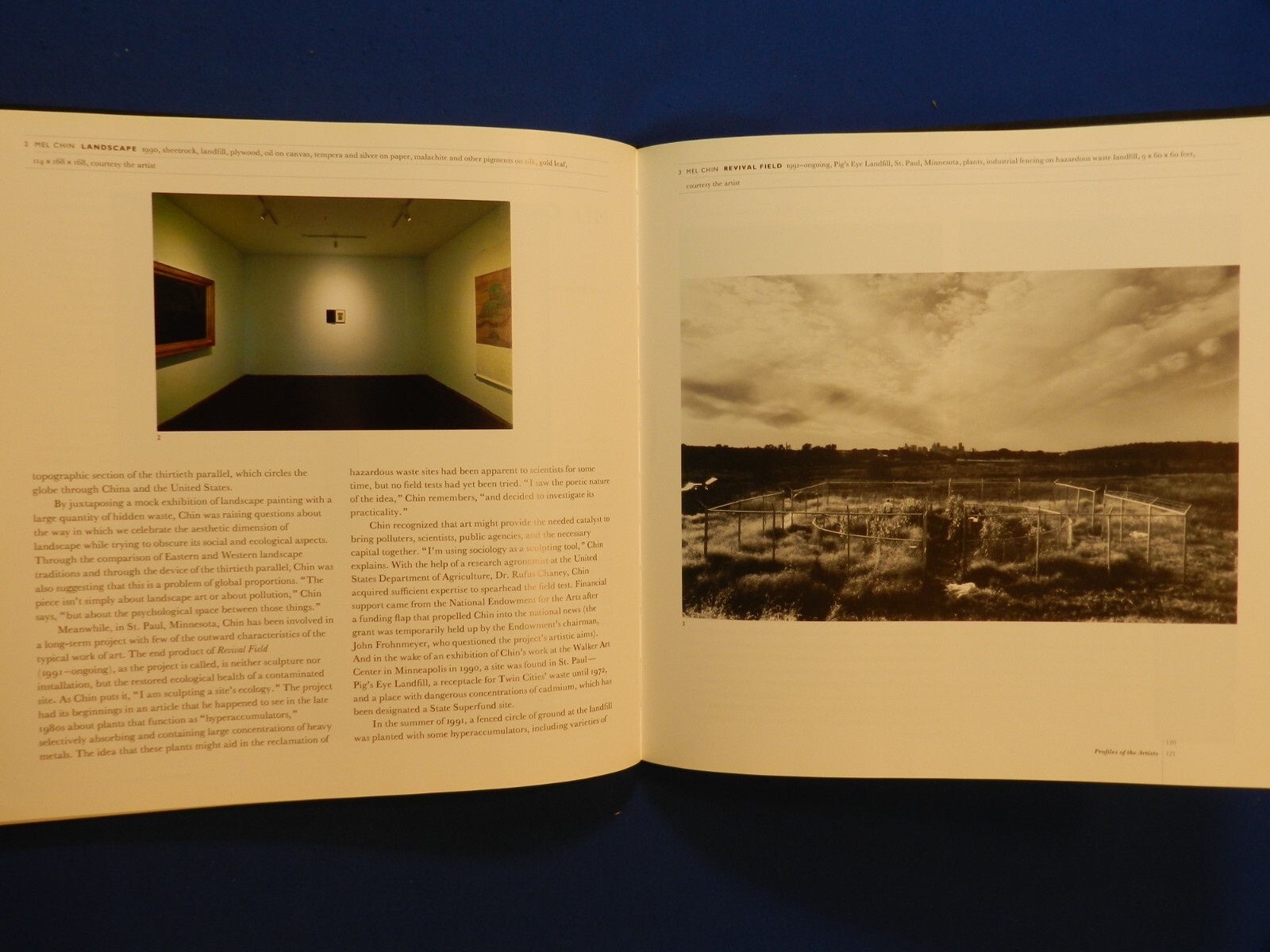 VISIONS OF AMERICA. LANDSCAPE AS METAPHOR IN THE LATE 20TH CENTURY. NY, 1994, DJ