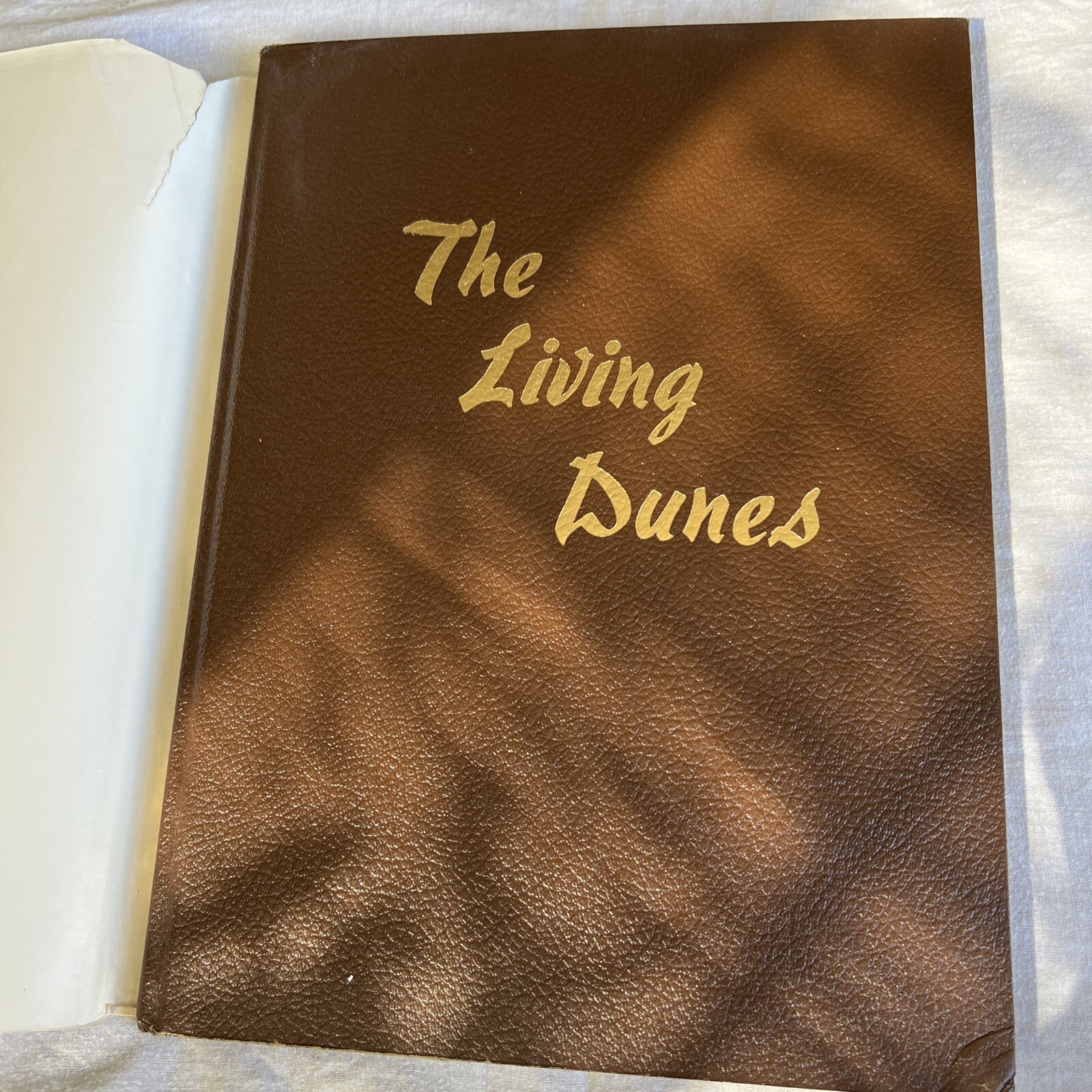 THE LIVING DUNES by JERRY LARSON 1976 Hard Cover Dust Cover 1st Edition- Signed*