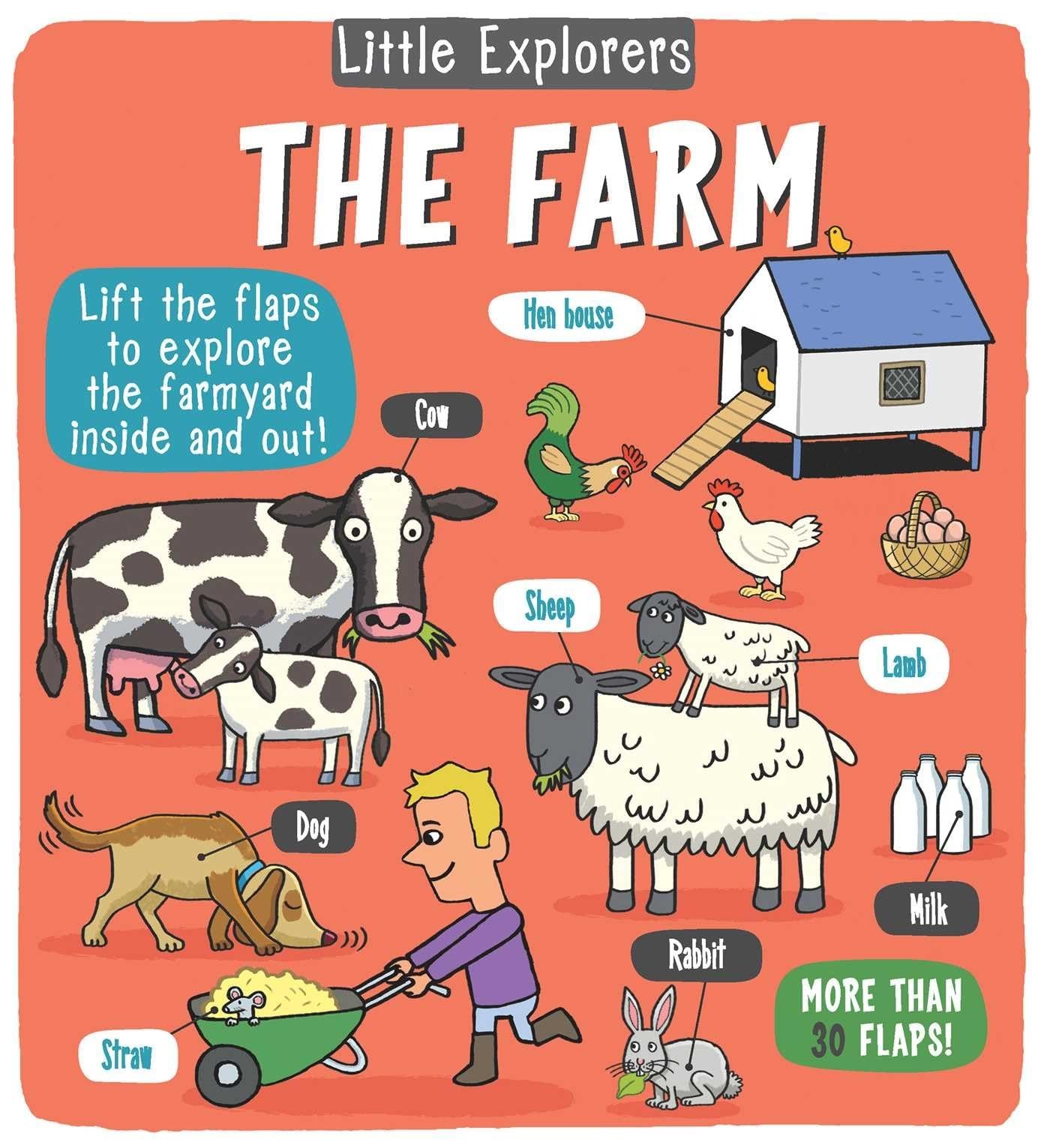 Little Explorers: The Farm – hardcover Little Bee Books